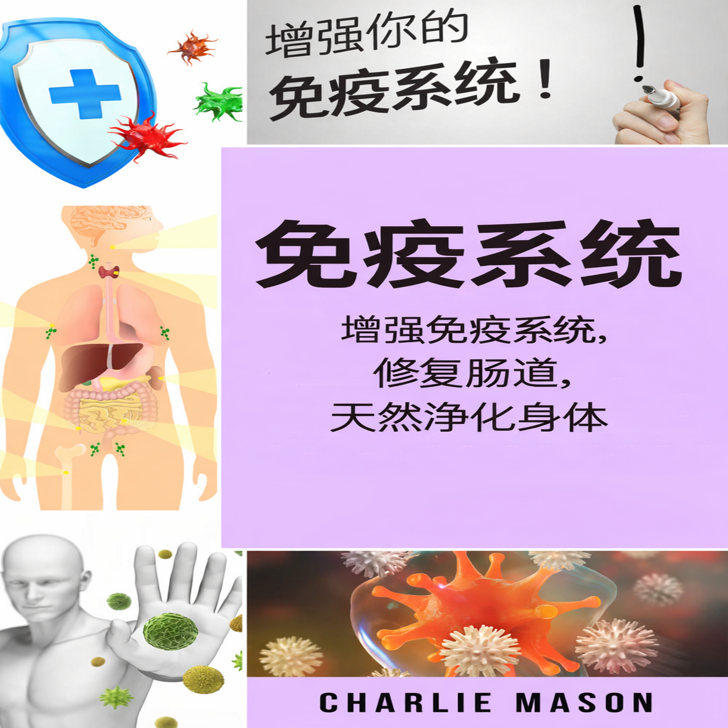 免疫系统:增强免疫系统,修复肠道,自然净化身体。