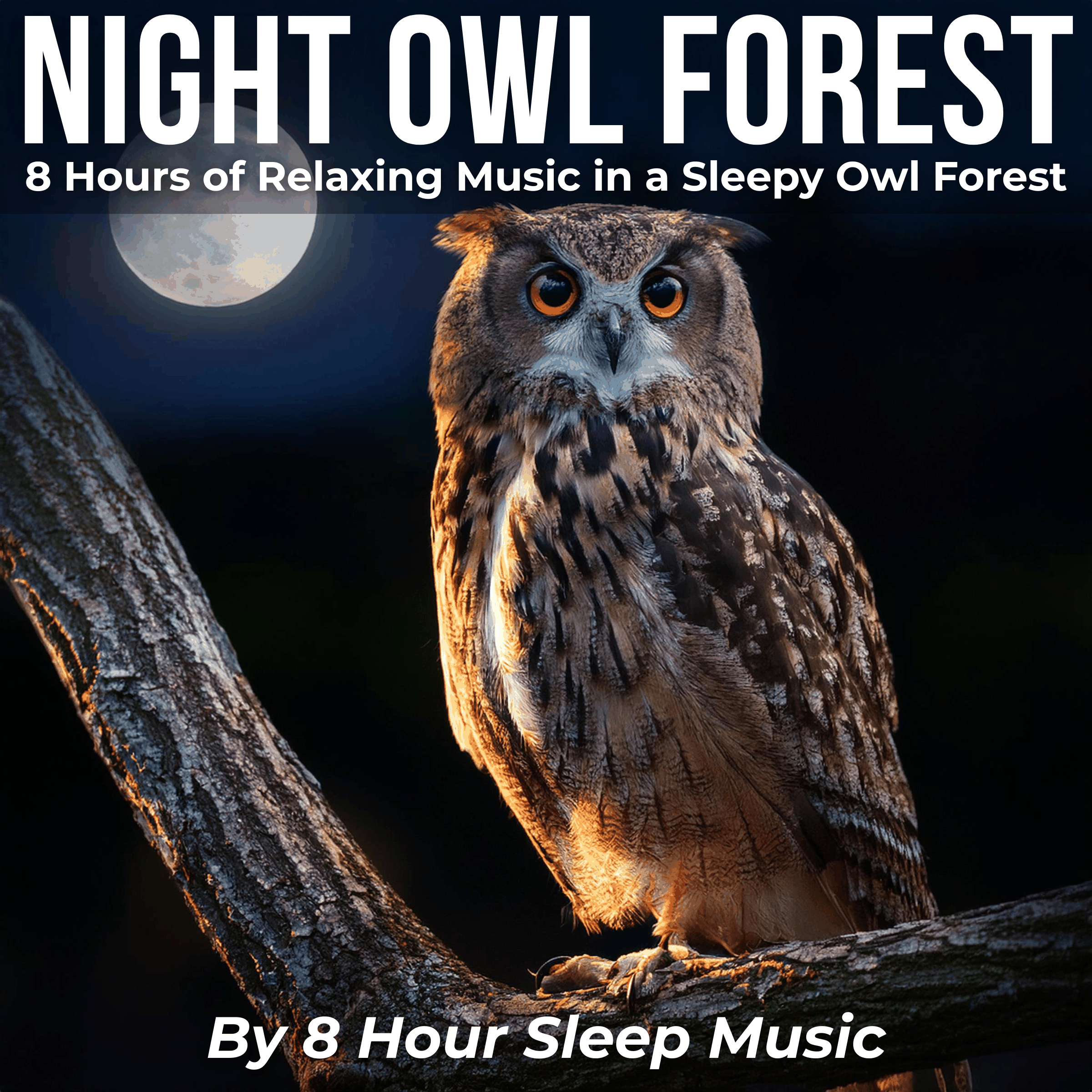 Night Owl Forest: 8 Hours of Relaxing Music in a Sleepy Owl Forest