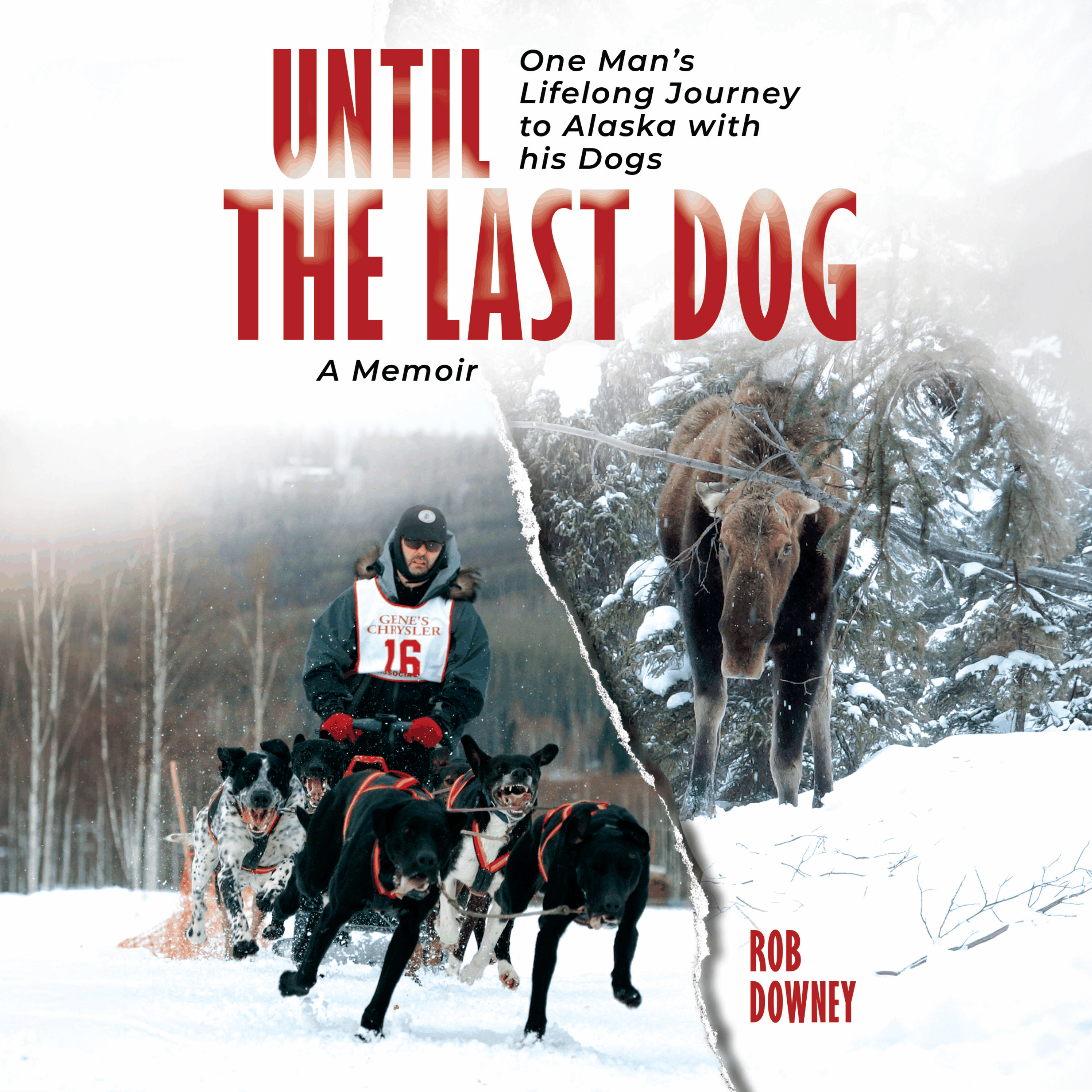 Until The Last Dog