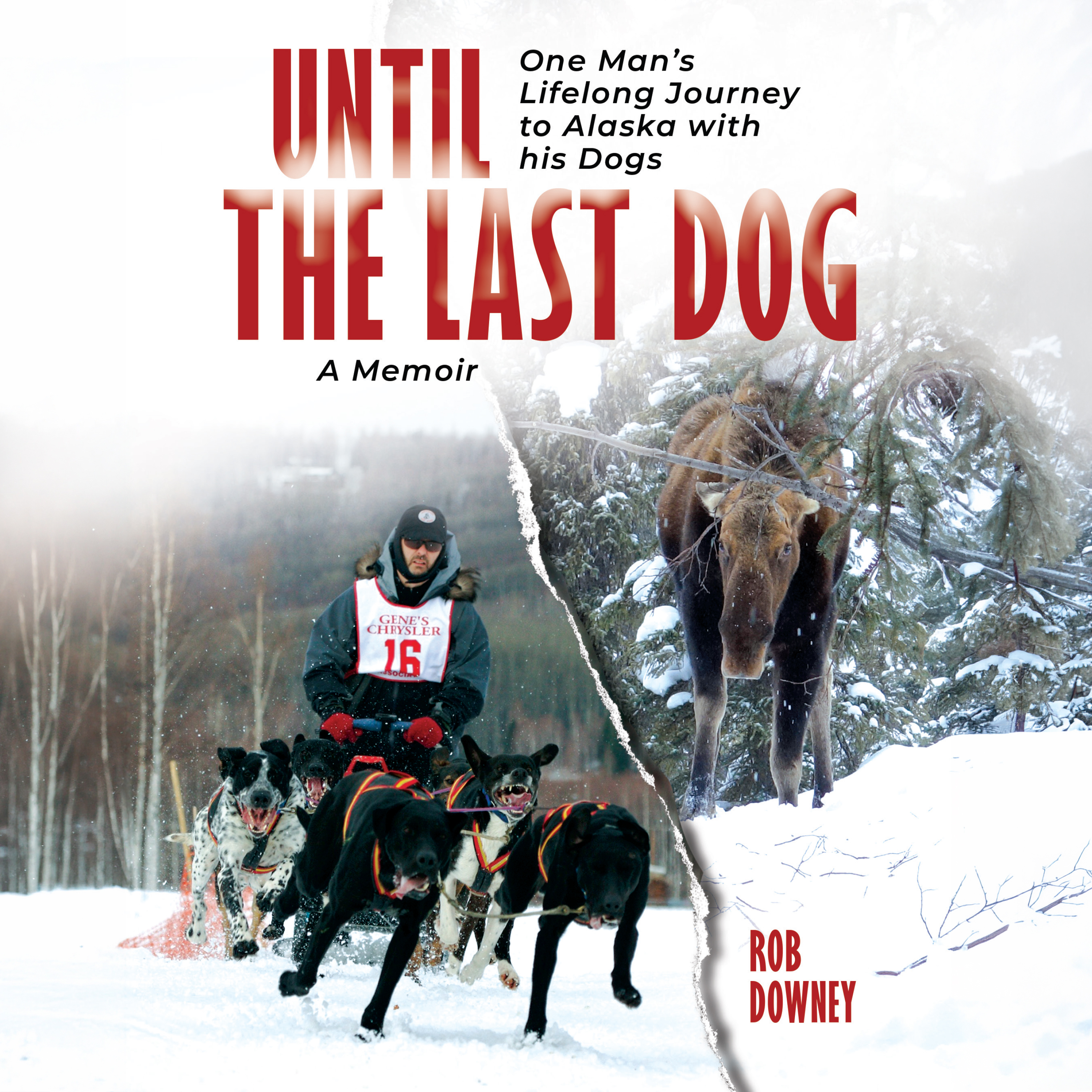 Until The Last Dog