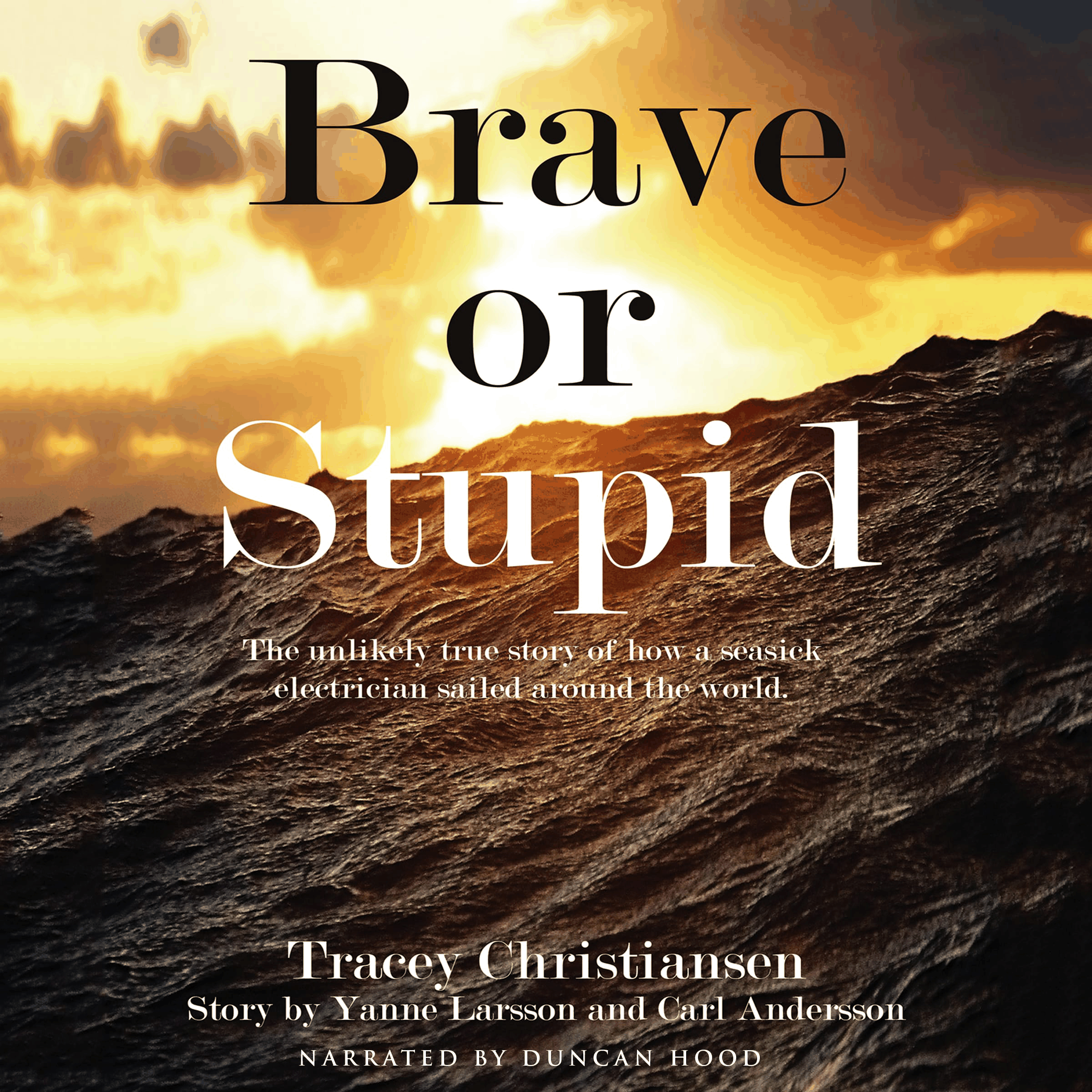 Brave or Stupid