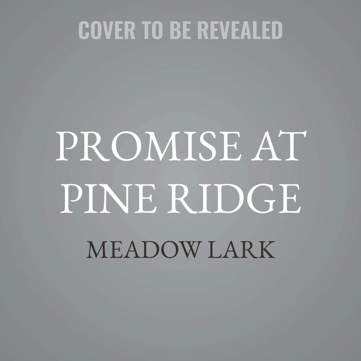 Promise at Pine Ridge