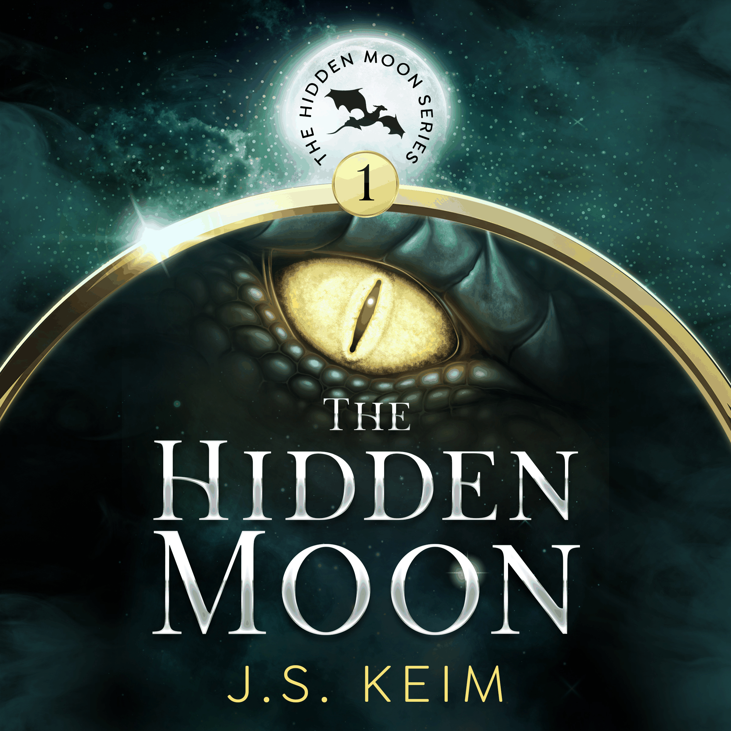 The Hidden Moon, An Unexpected Adventure in Outer Space