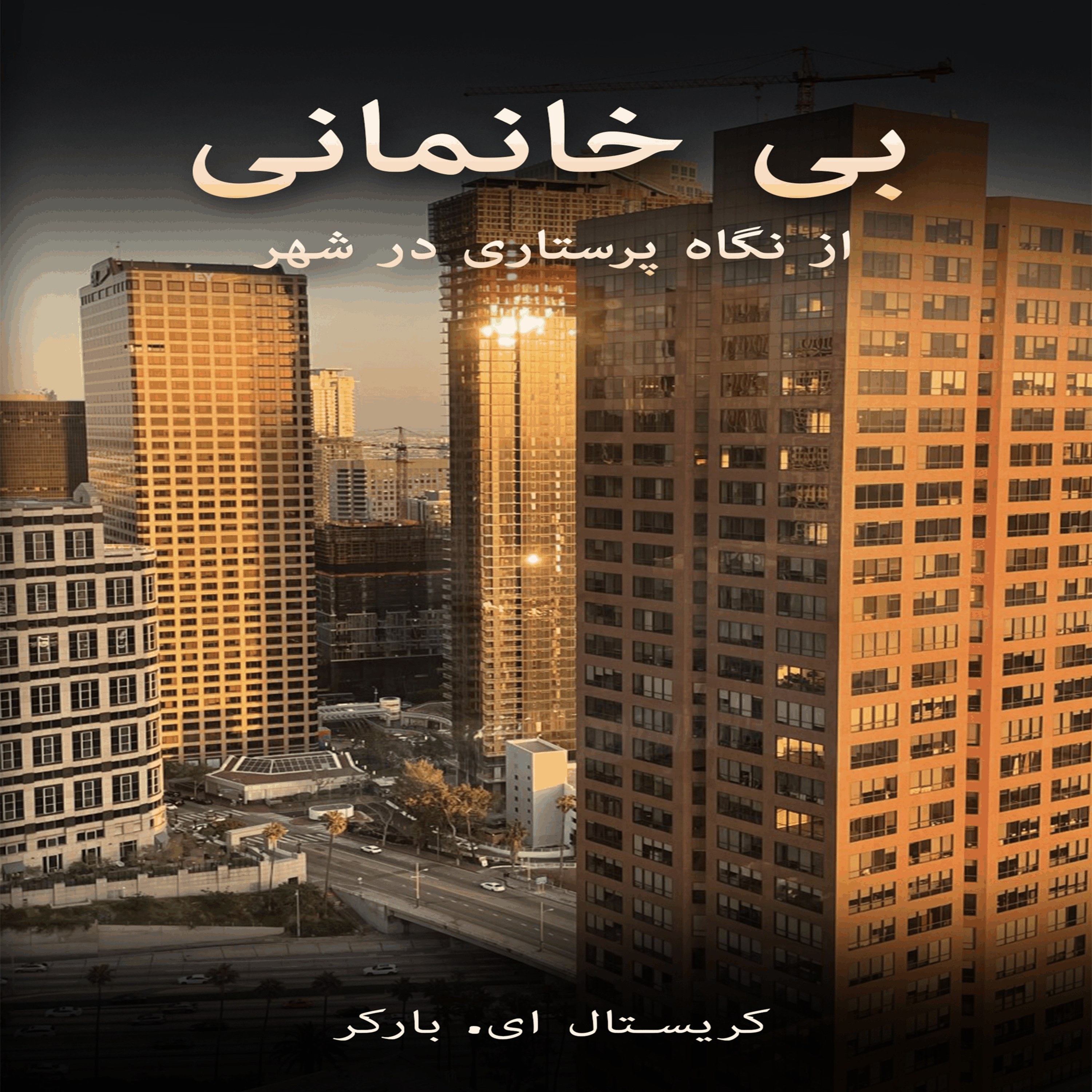 بی خانمانی