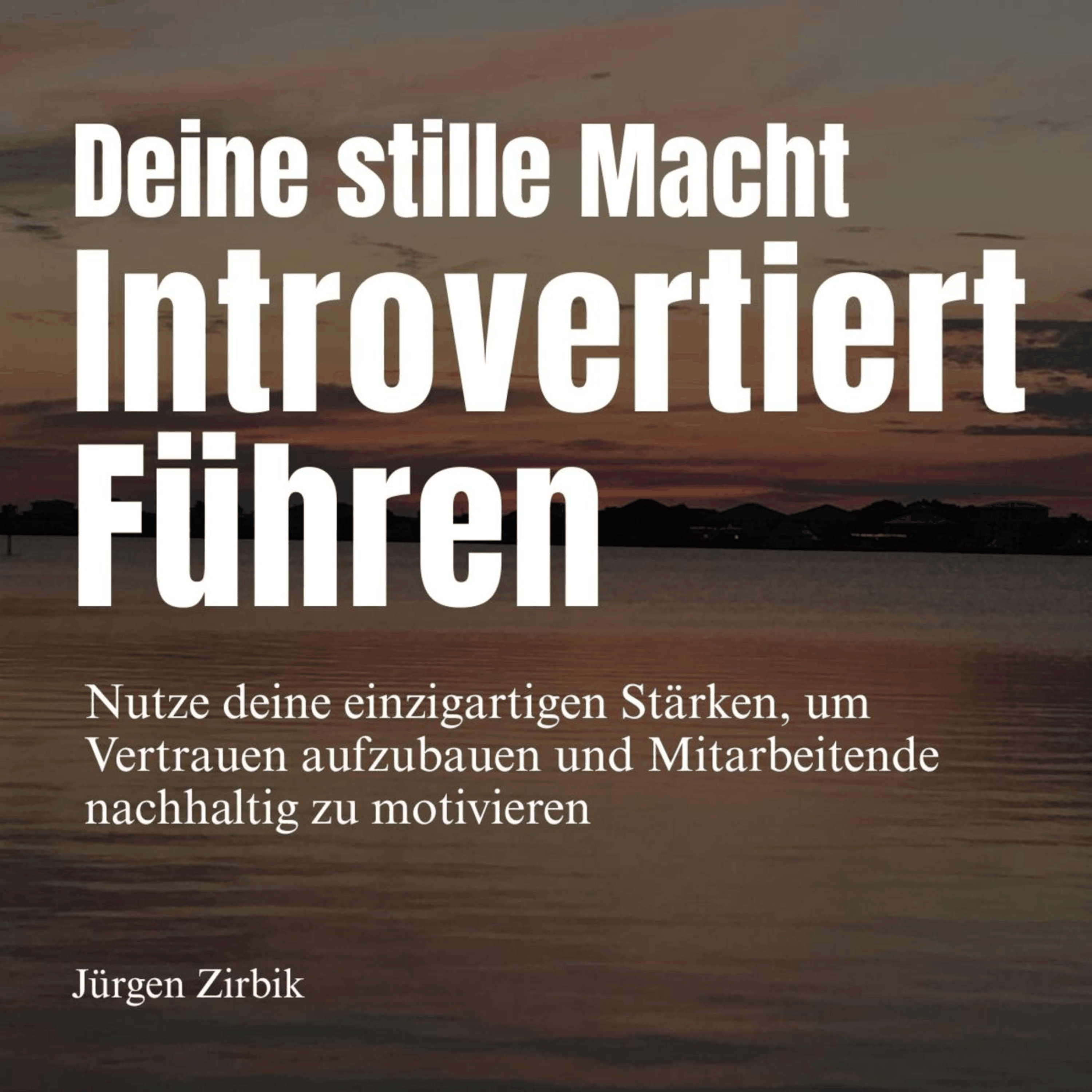 Deine stille Macht - Introvertiert führen