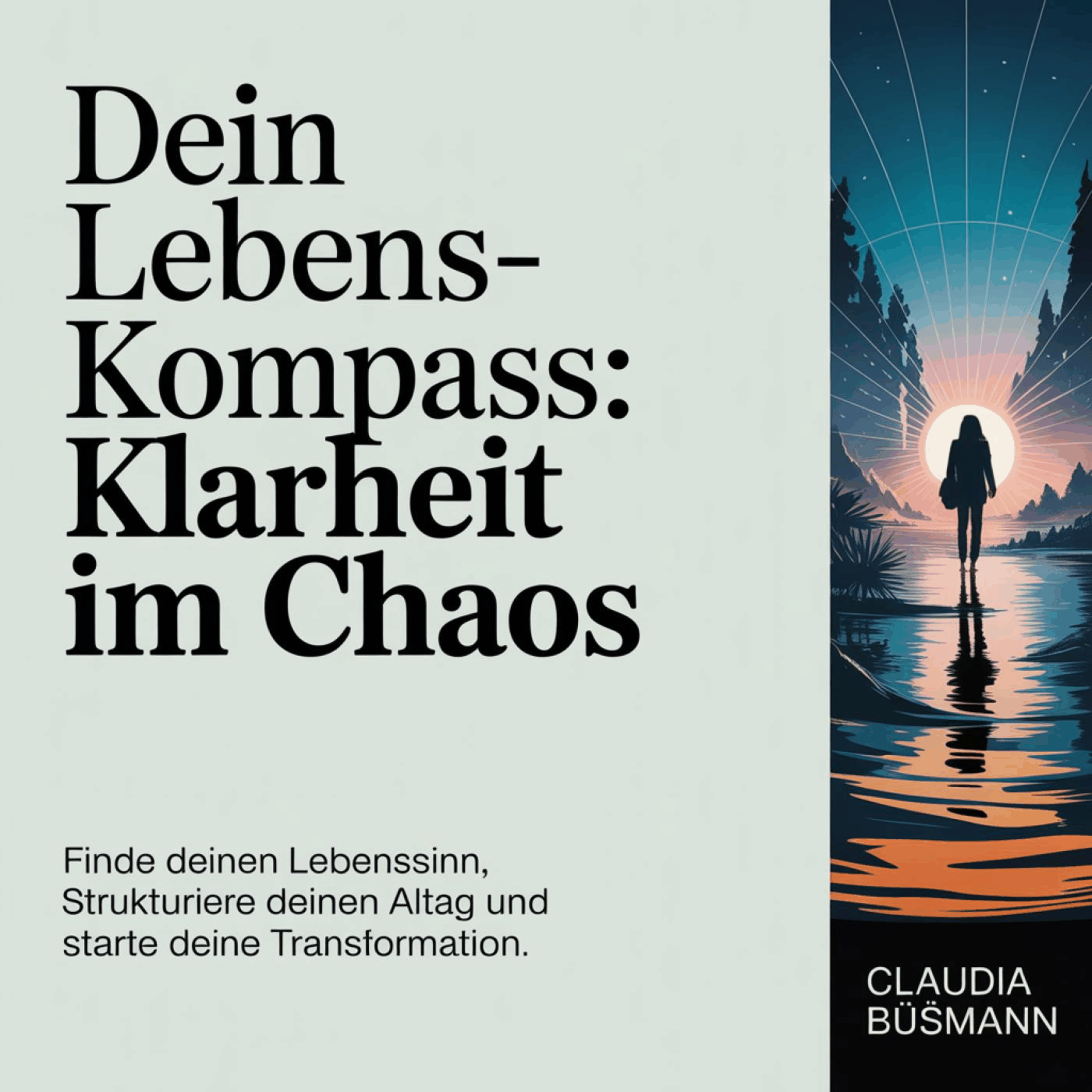 Dein Lebens-Kompass - Klarheit im Chaos