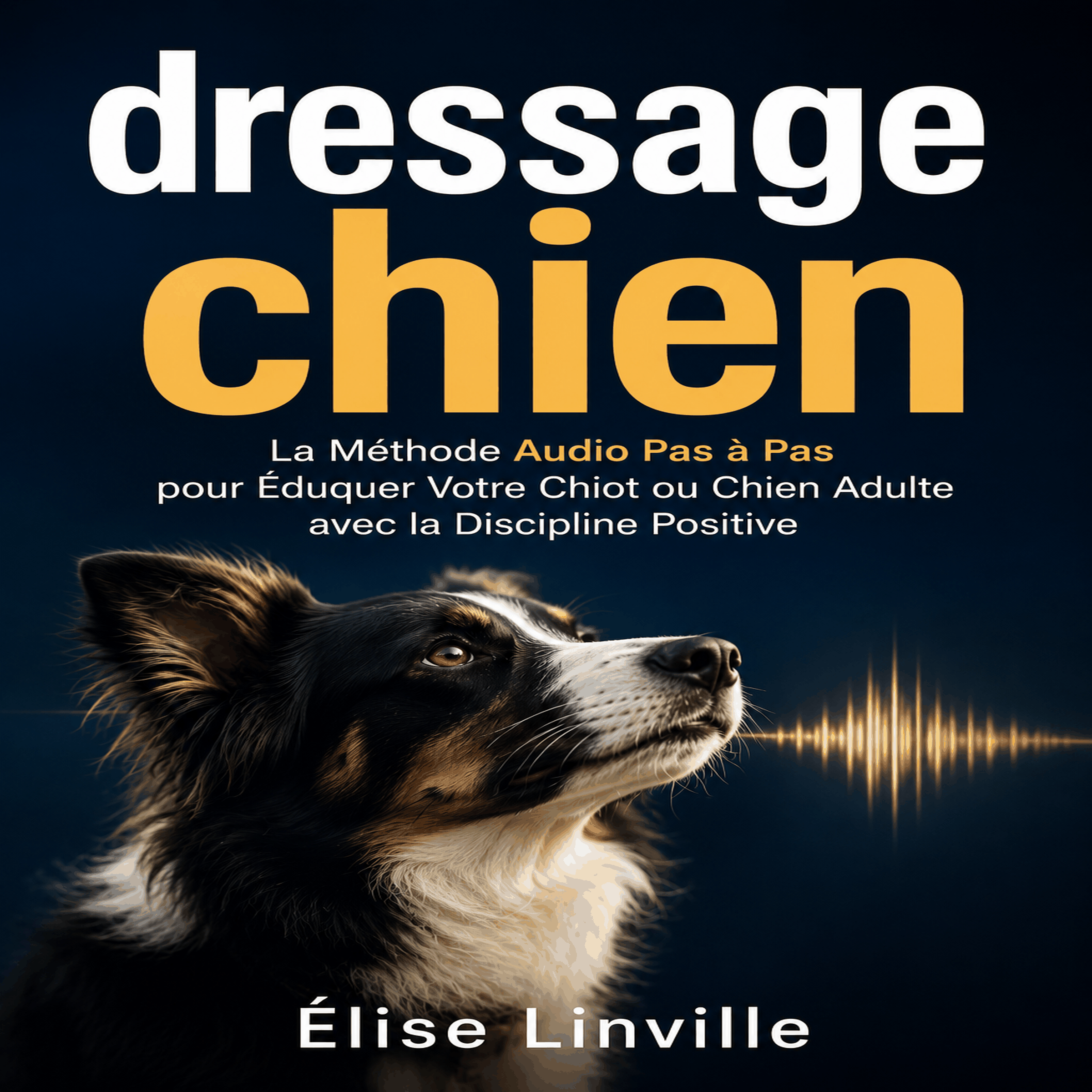 dressage chien