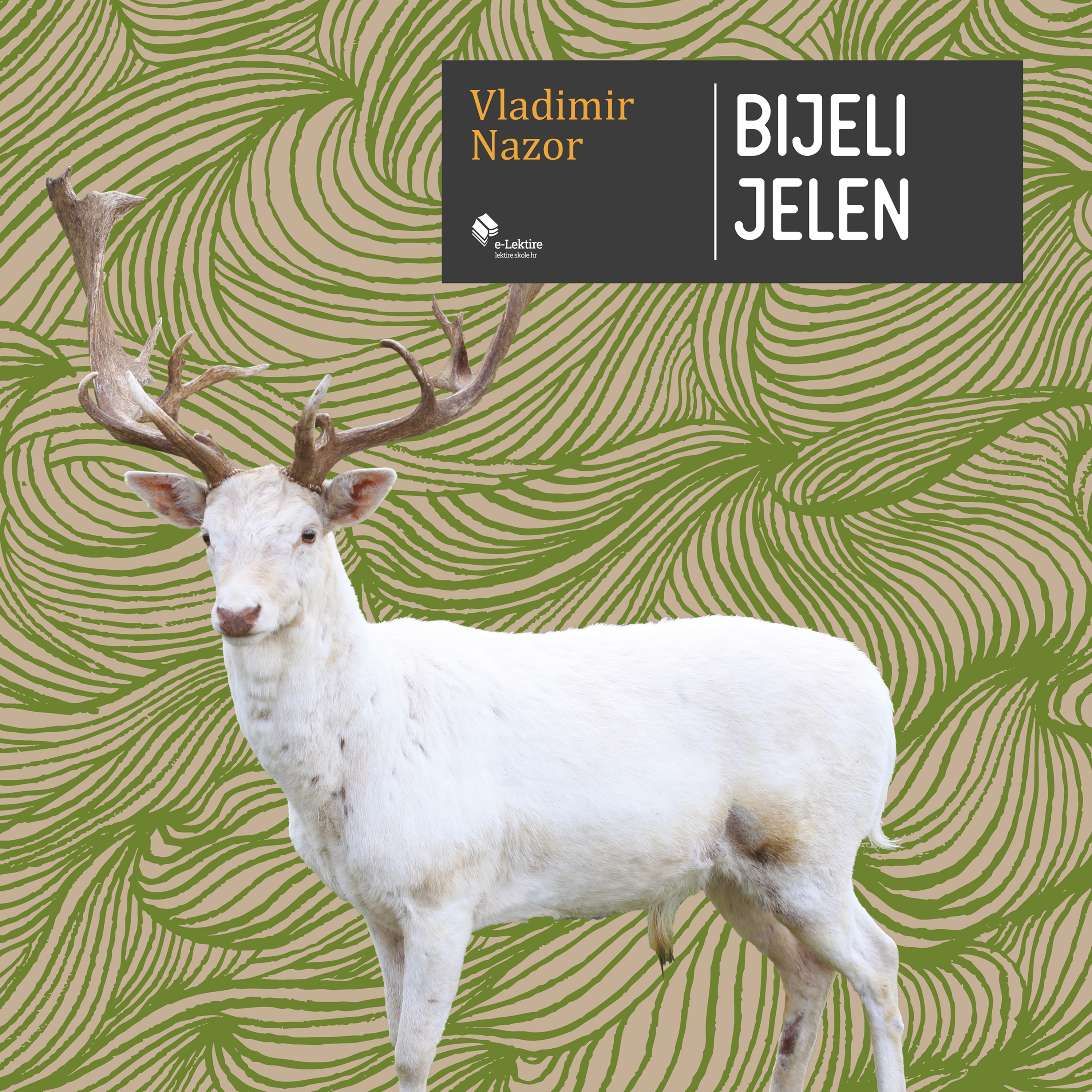 Bijeli jelen