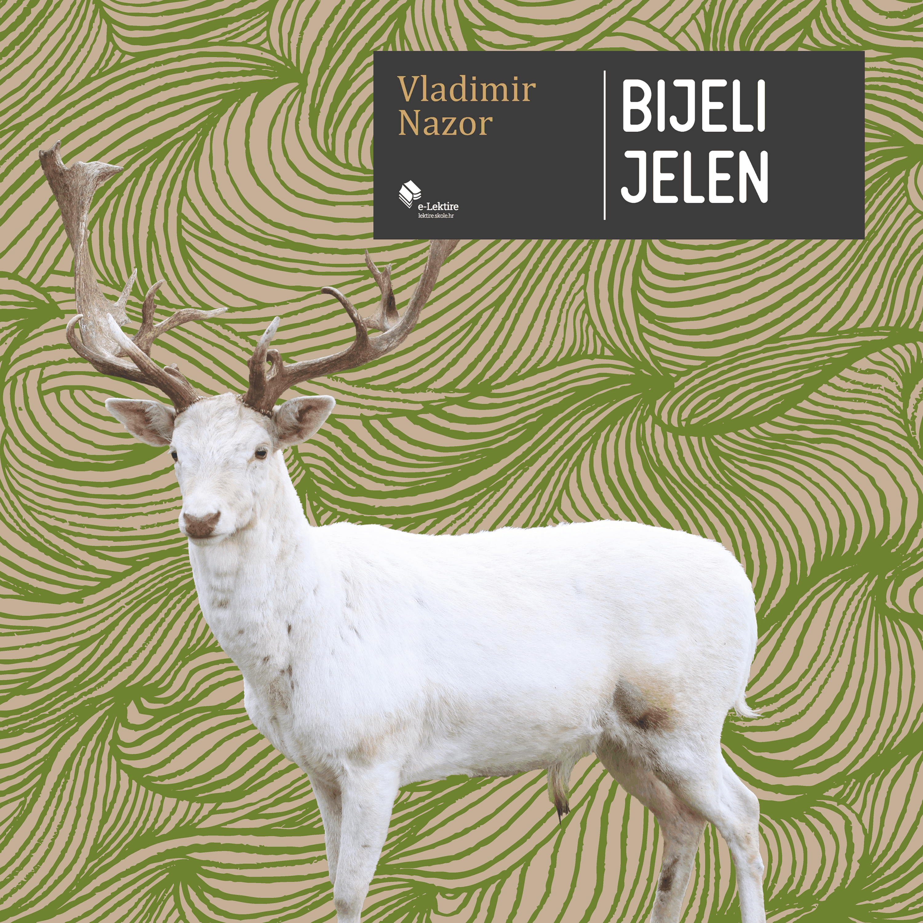 Bijeli jelen
