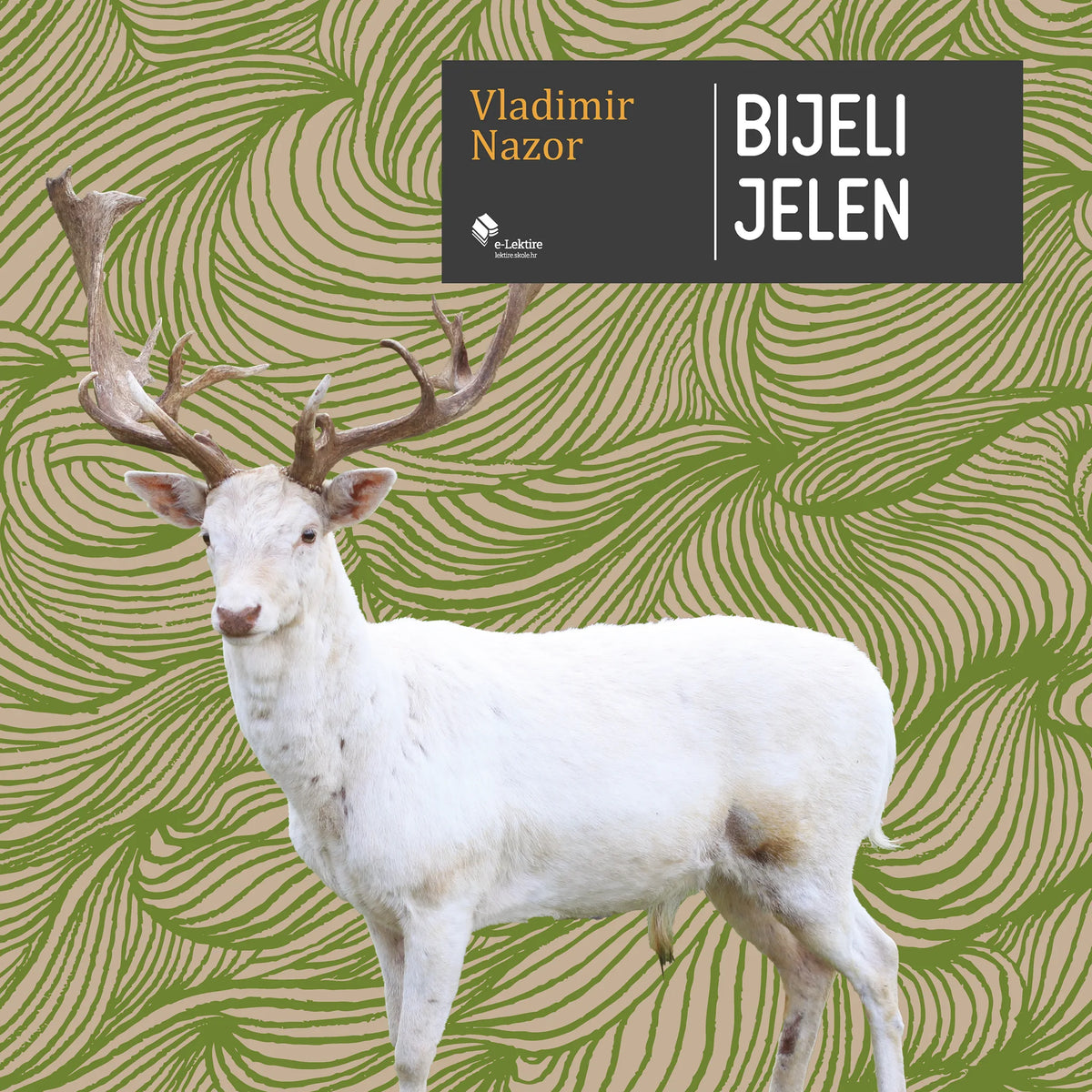 Bijeli jelen