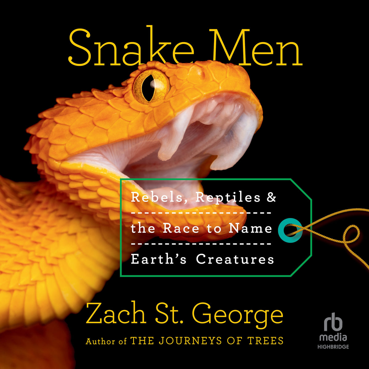 Snake Men