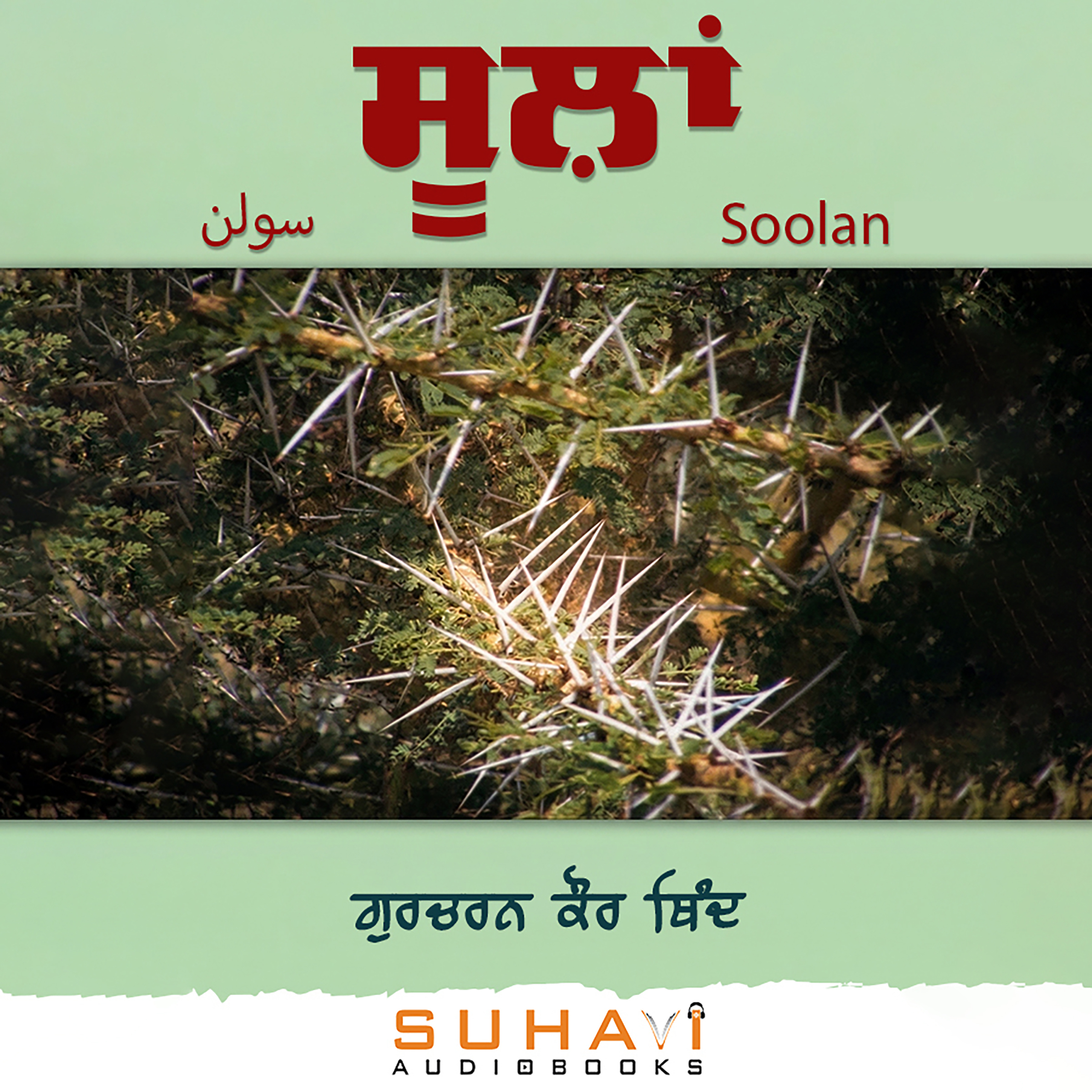 Soolan
