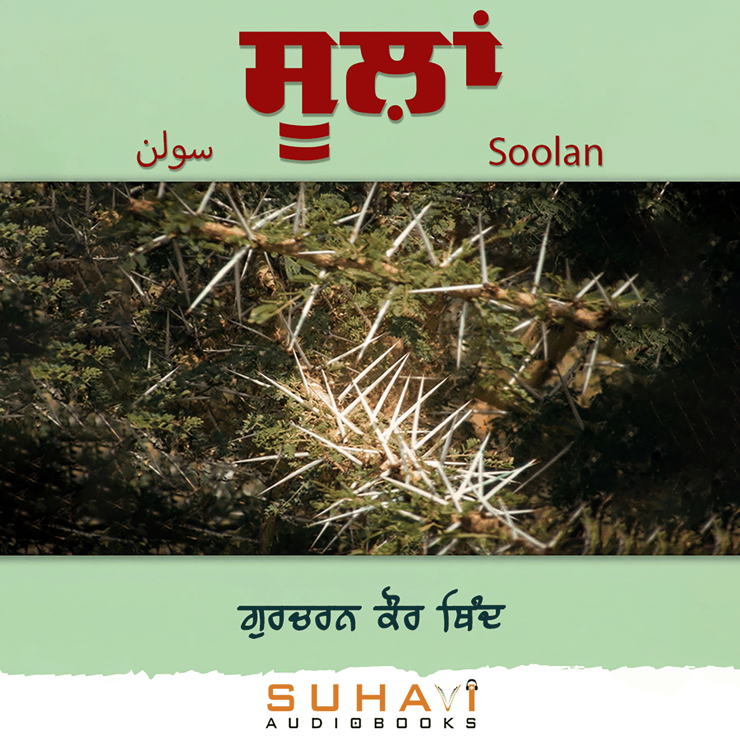Soolan