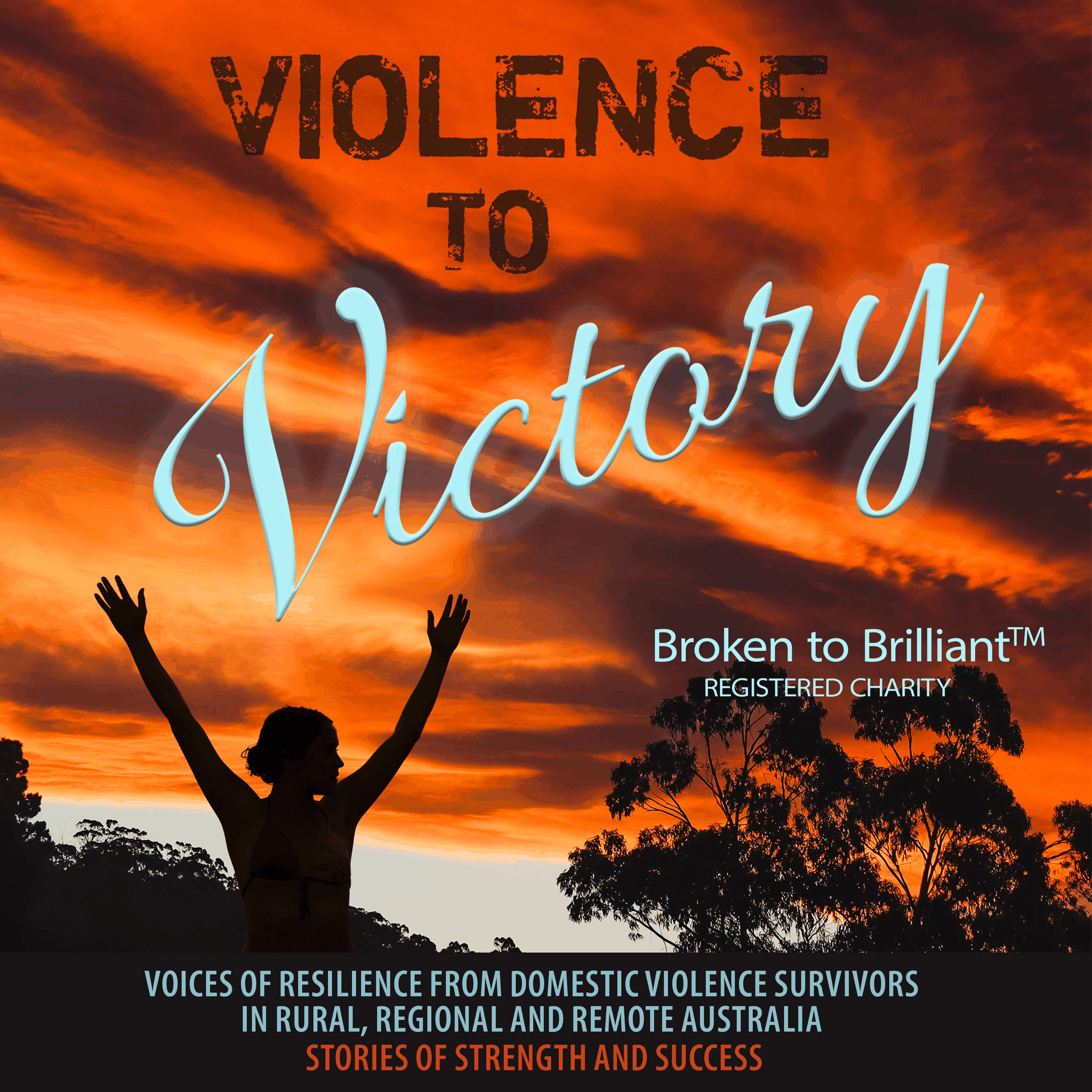 Violence to Victory