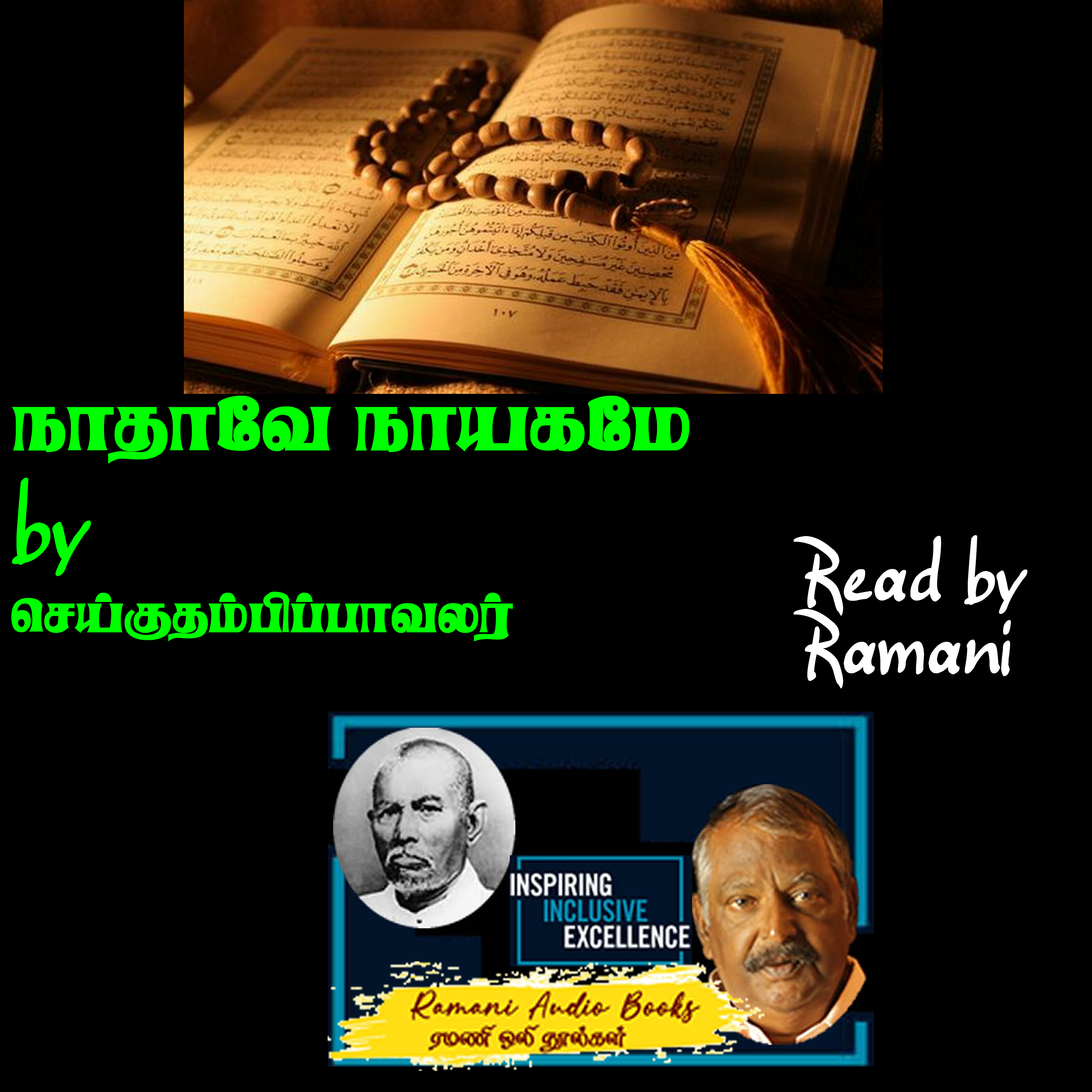நாதாவே நாயகமே