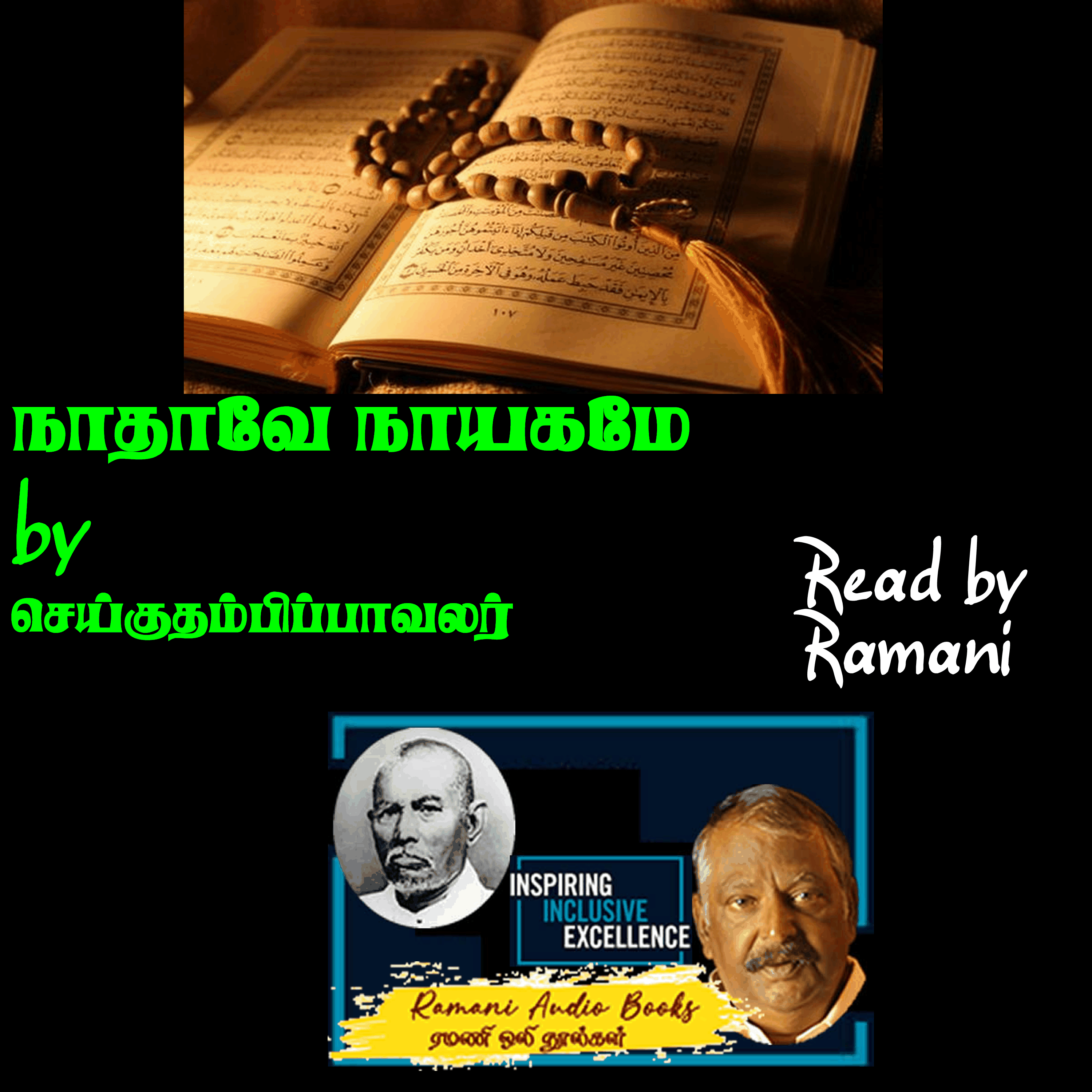நாதாவே நாயகமே