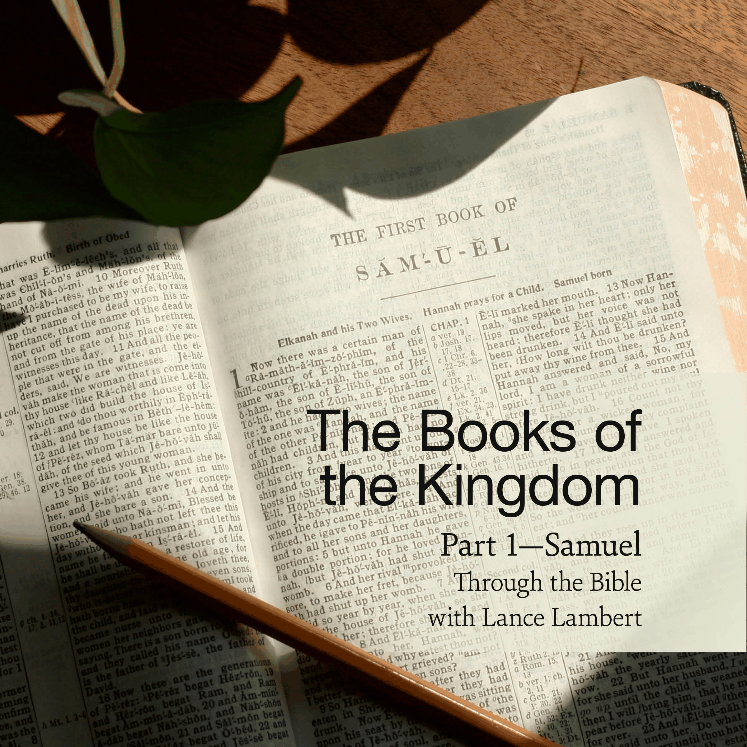 The Books of the Kingdom: Part 1 - Samuel