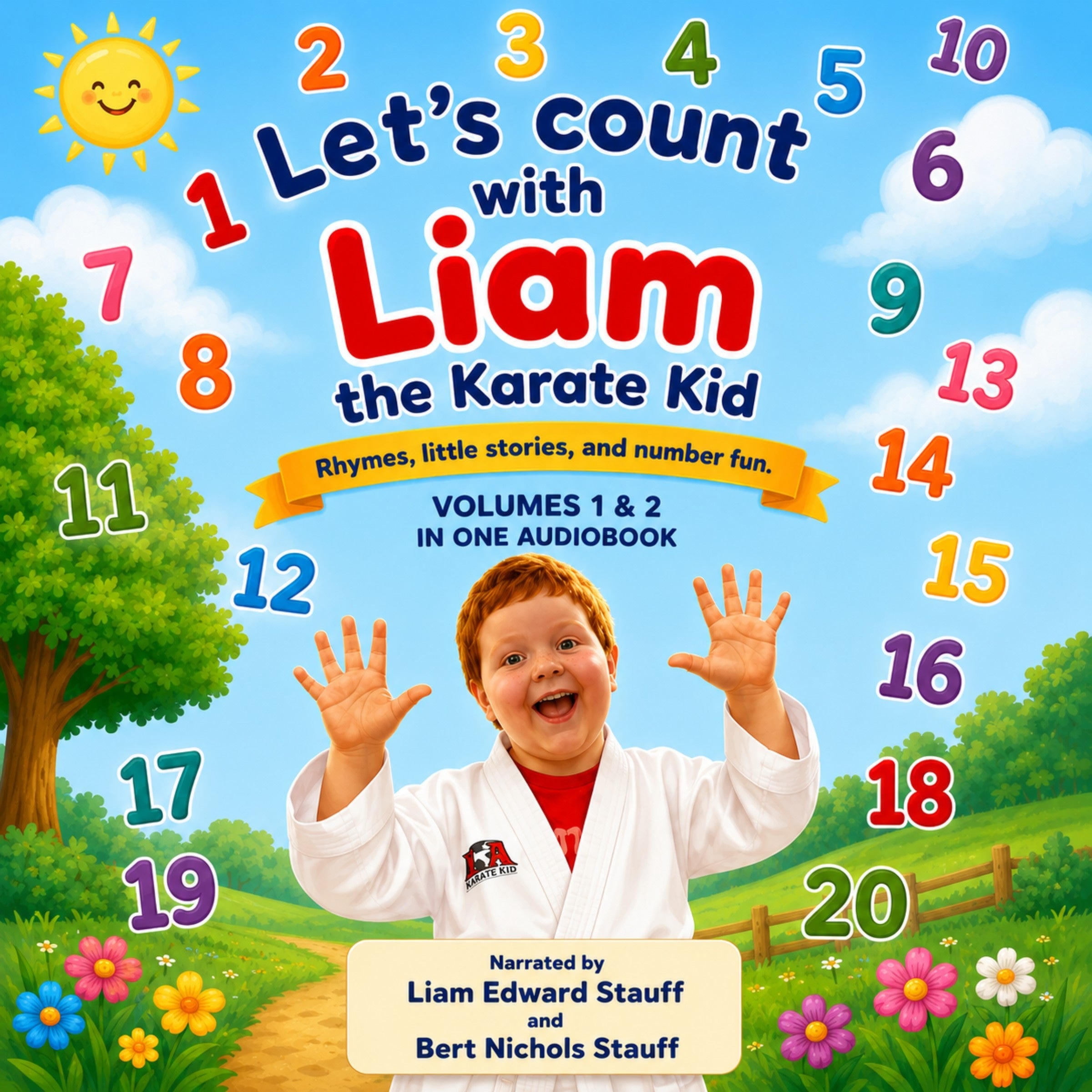 Let's Count with Liam the Karate Kid