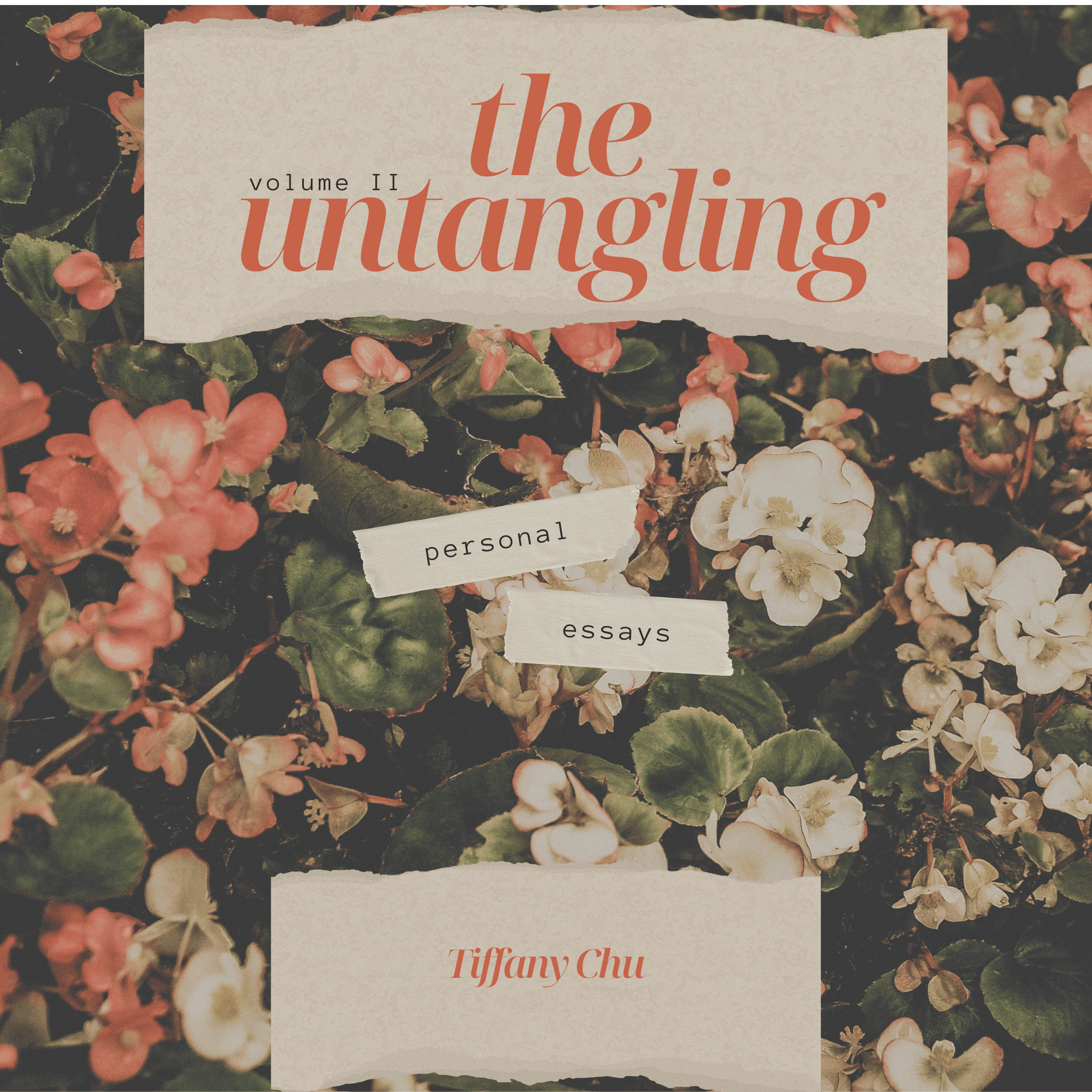 The Untangling: Volume 2