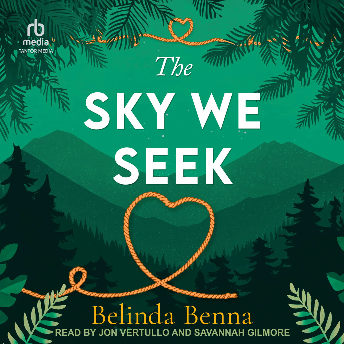 The Sky We Seek
