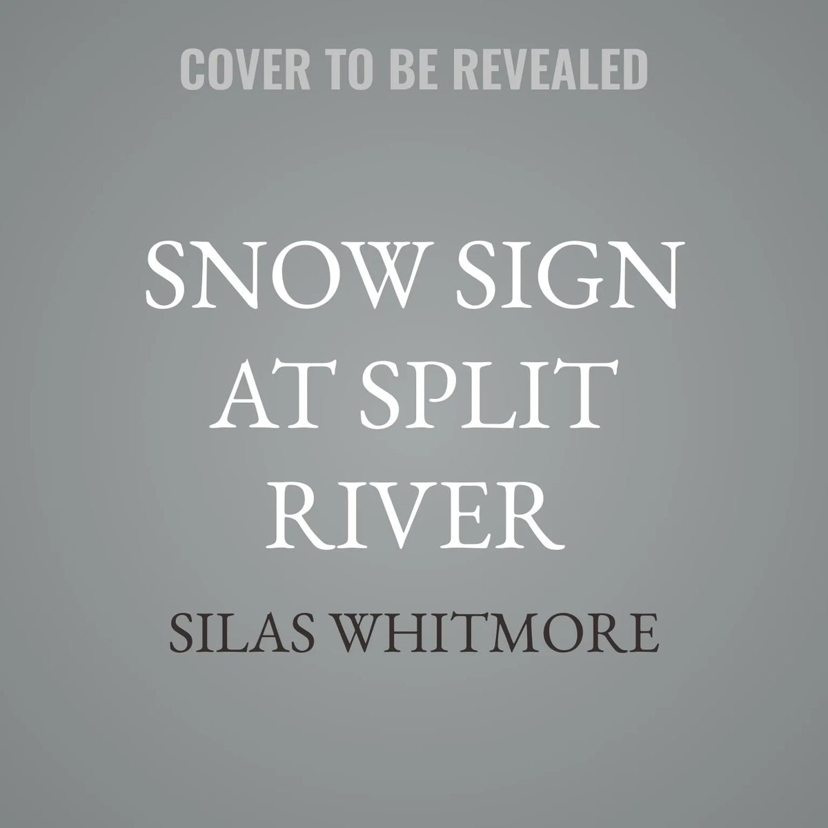 Snow Sign at Split River