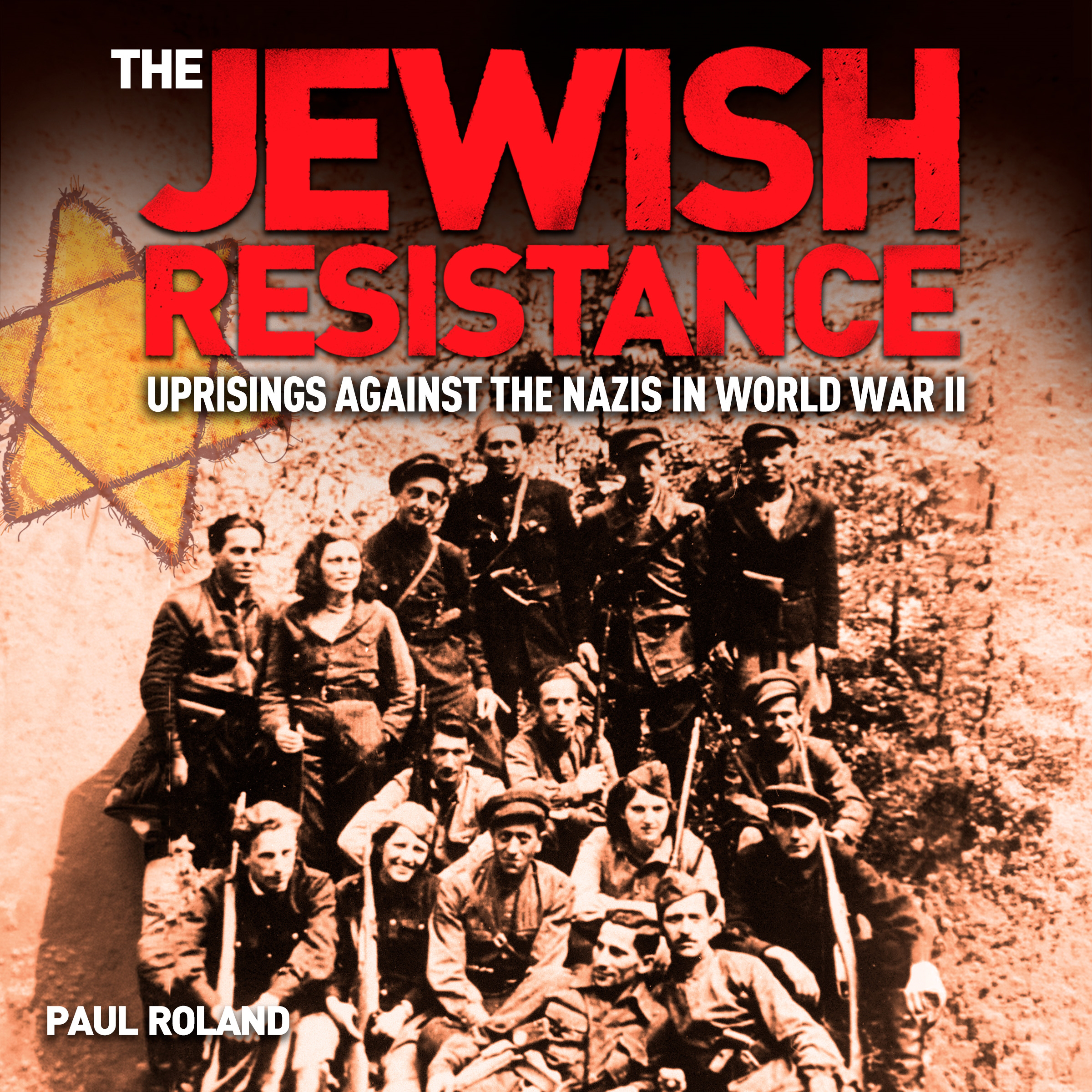 The Jewish Resistance