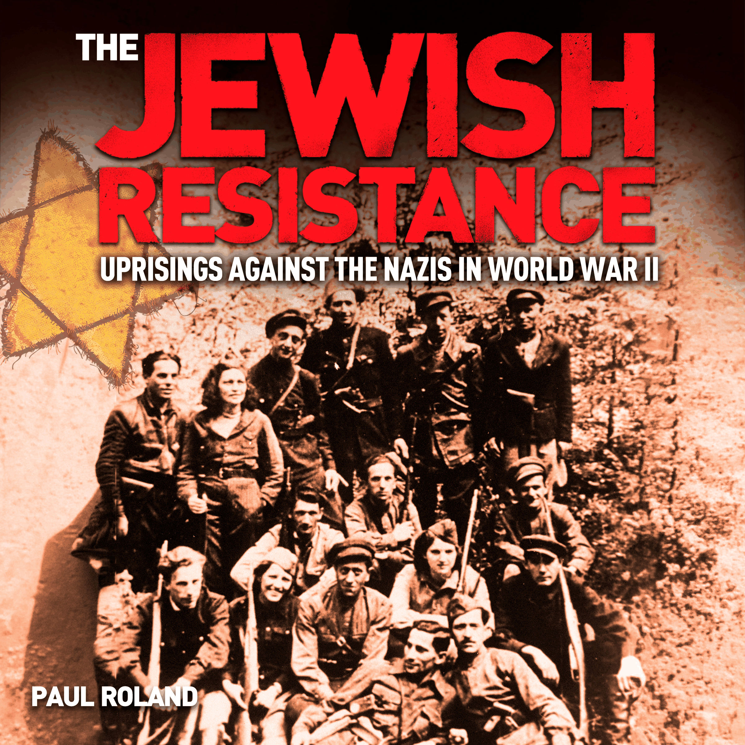 The Jewish Resistance
