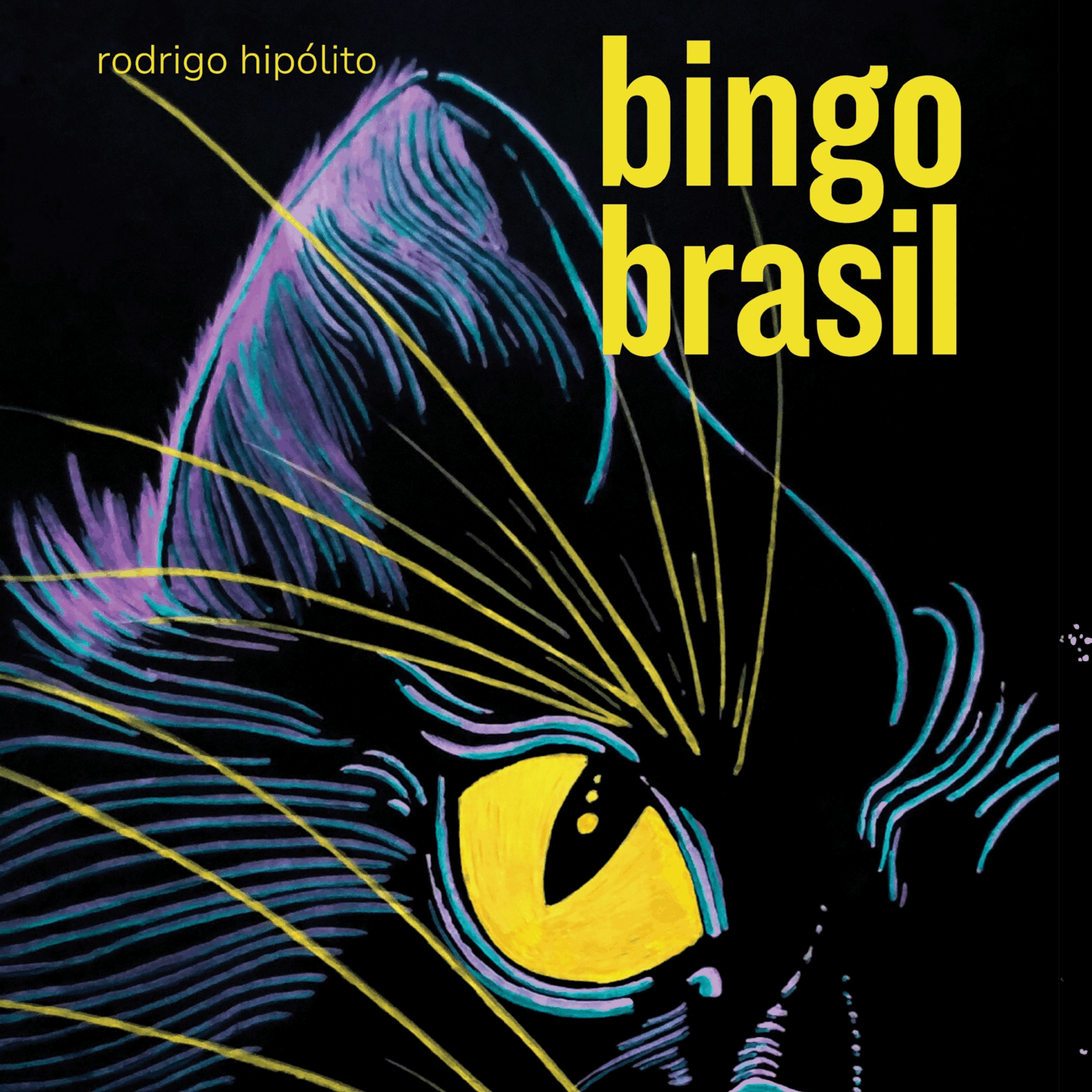 Bingo Brasil