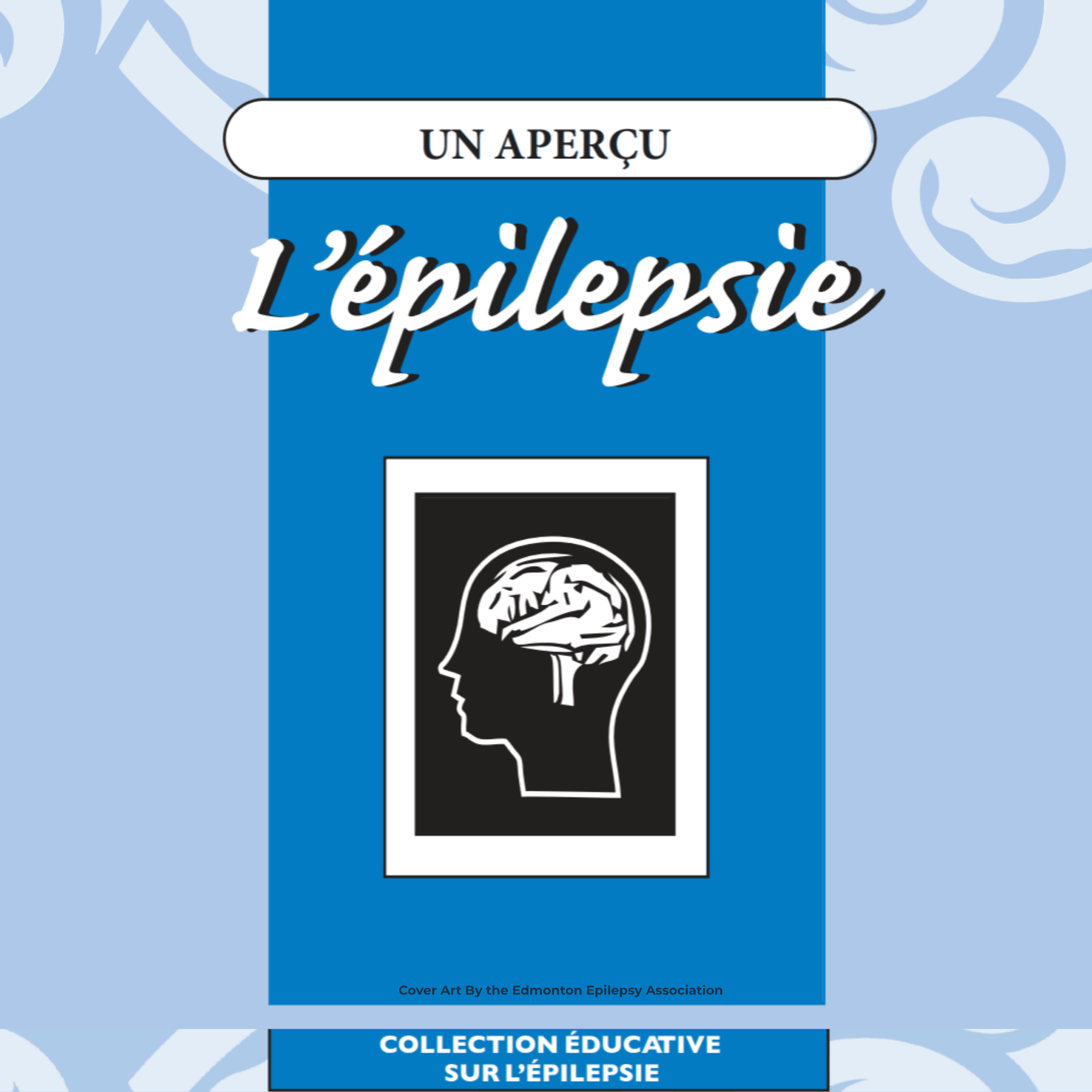 Épilepsie Un Aperçu