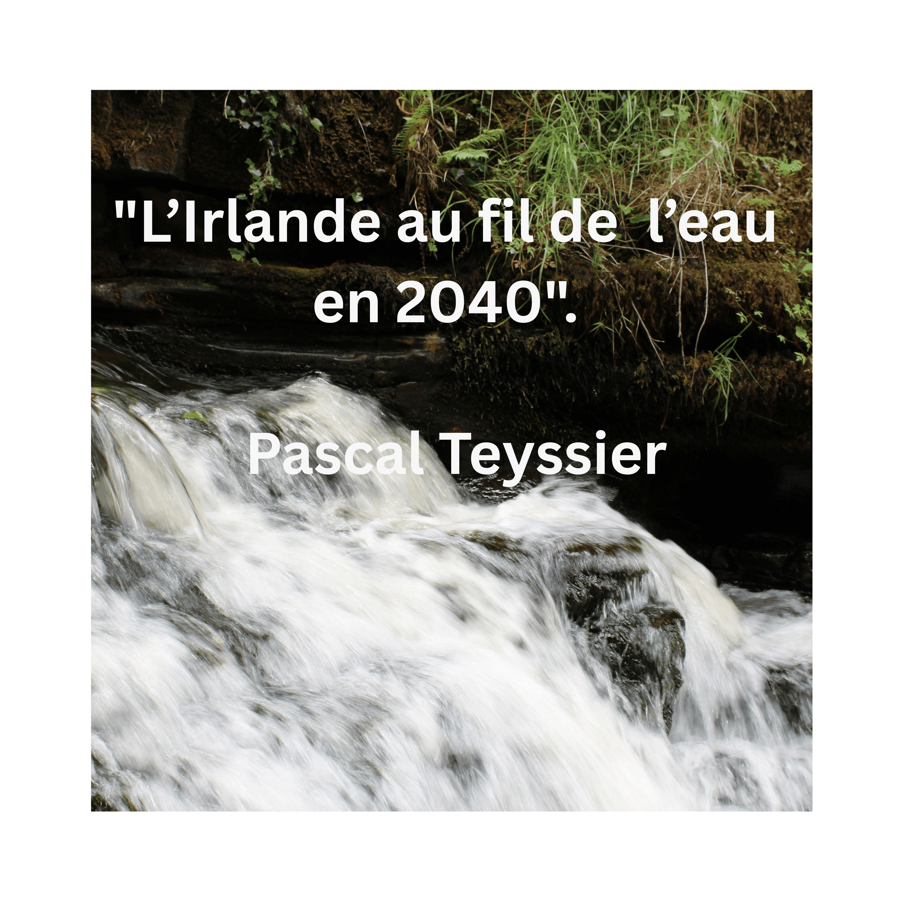 "L'Irlande au fil de l'eau en 2040".
