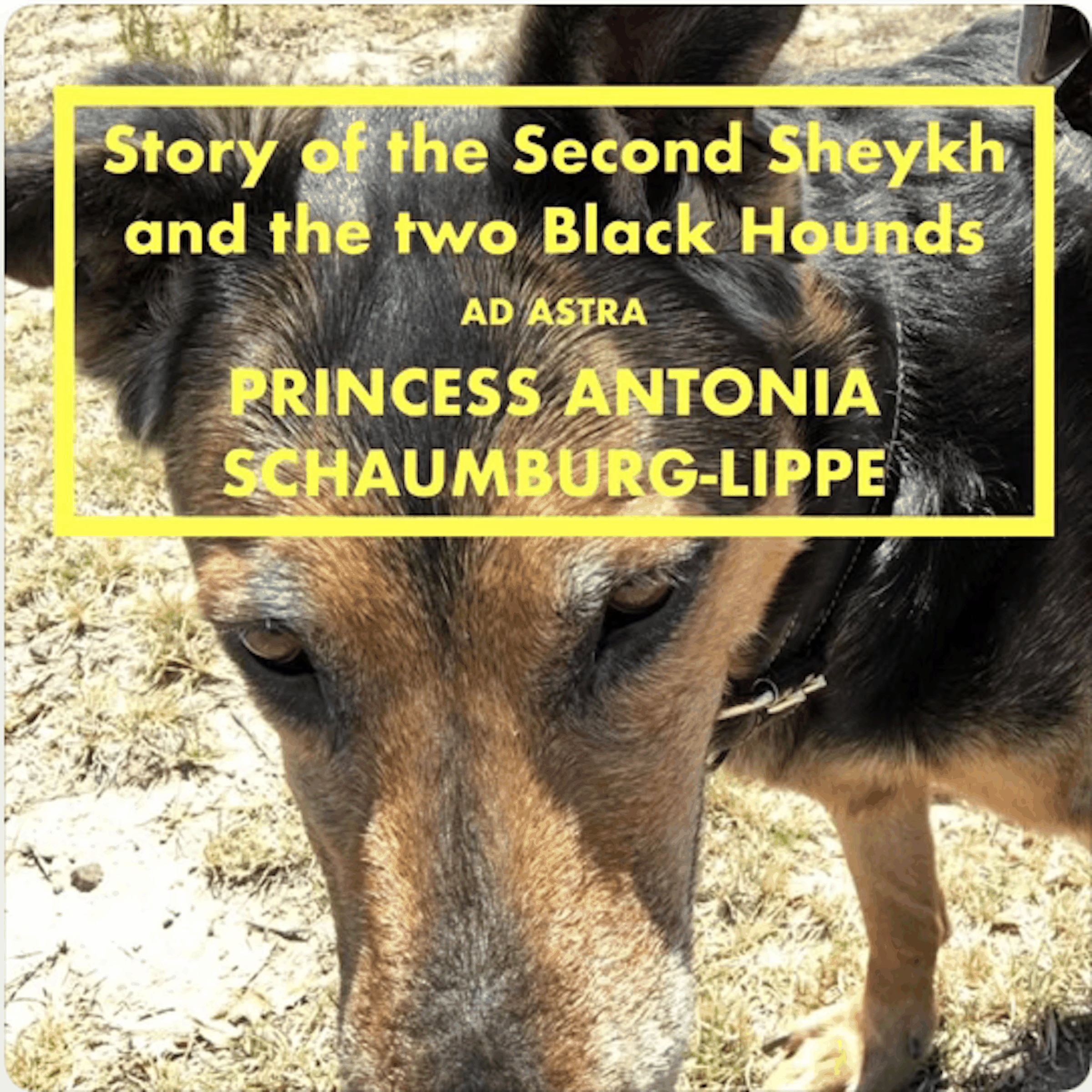 Story of the Second Sheykh and the two Black Hounds