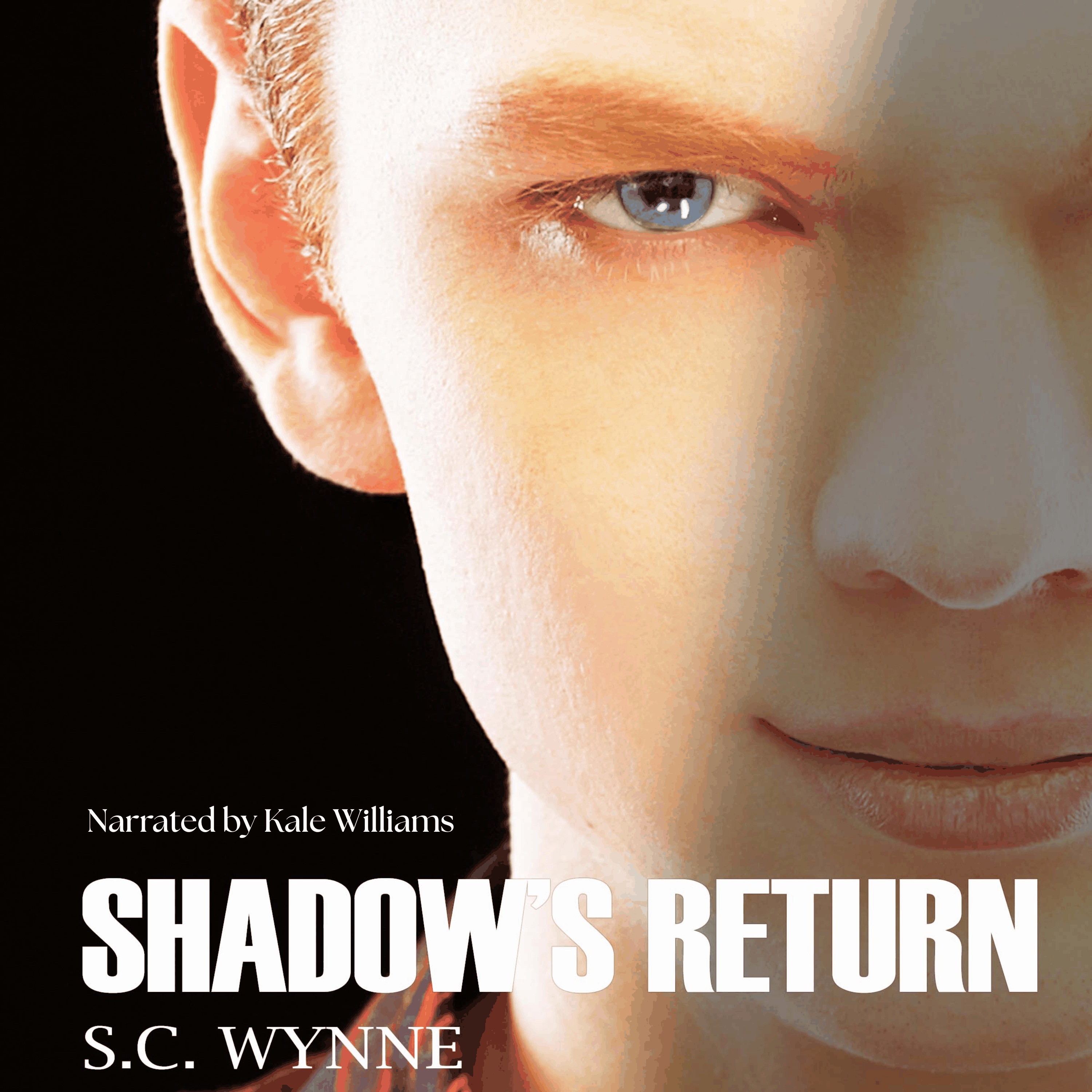 Shadow's Return