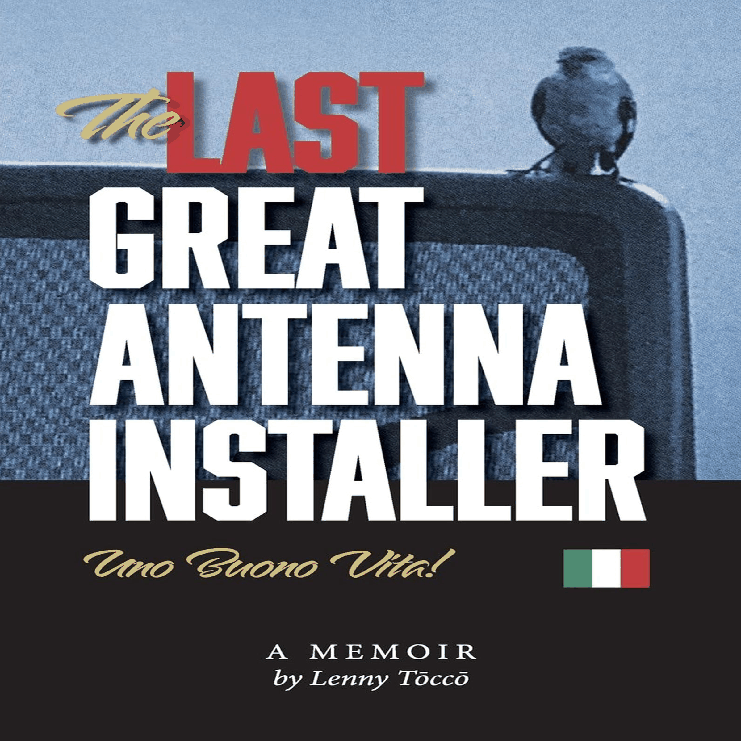 THE LAST GREAT ANTENNA INSATLLER