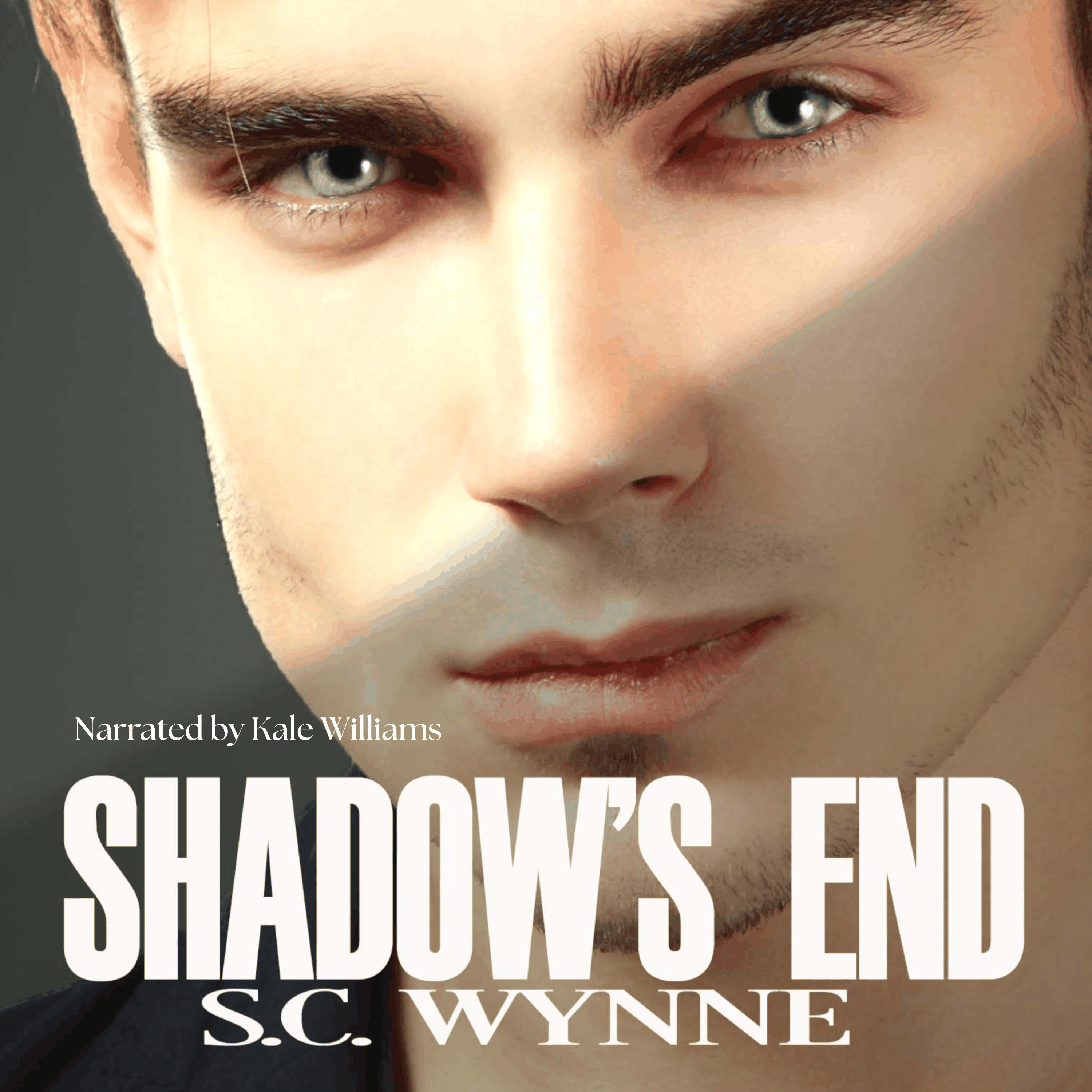 Shadow's End