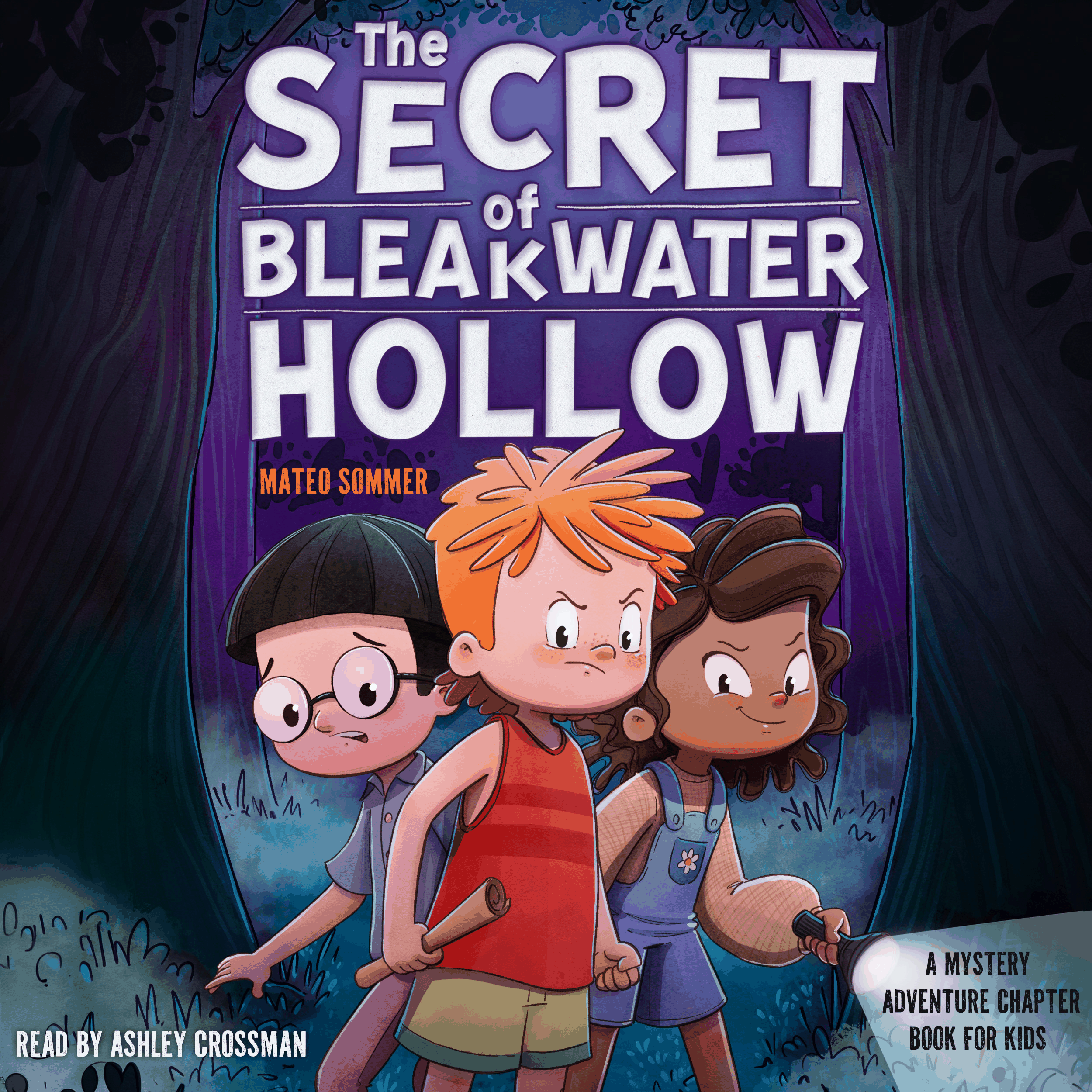 The Secret of Bleakwater Hollow