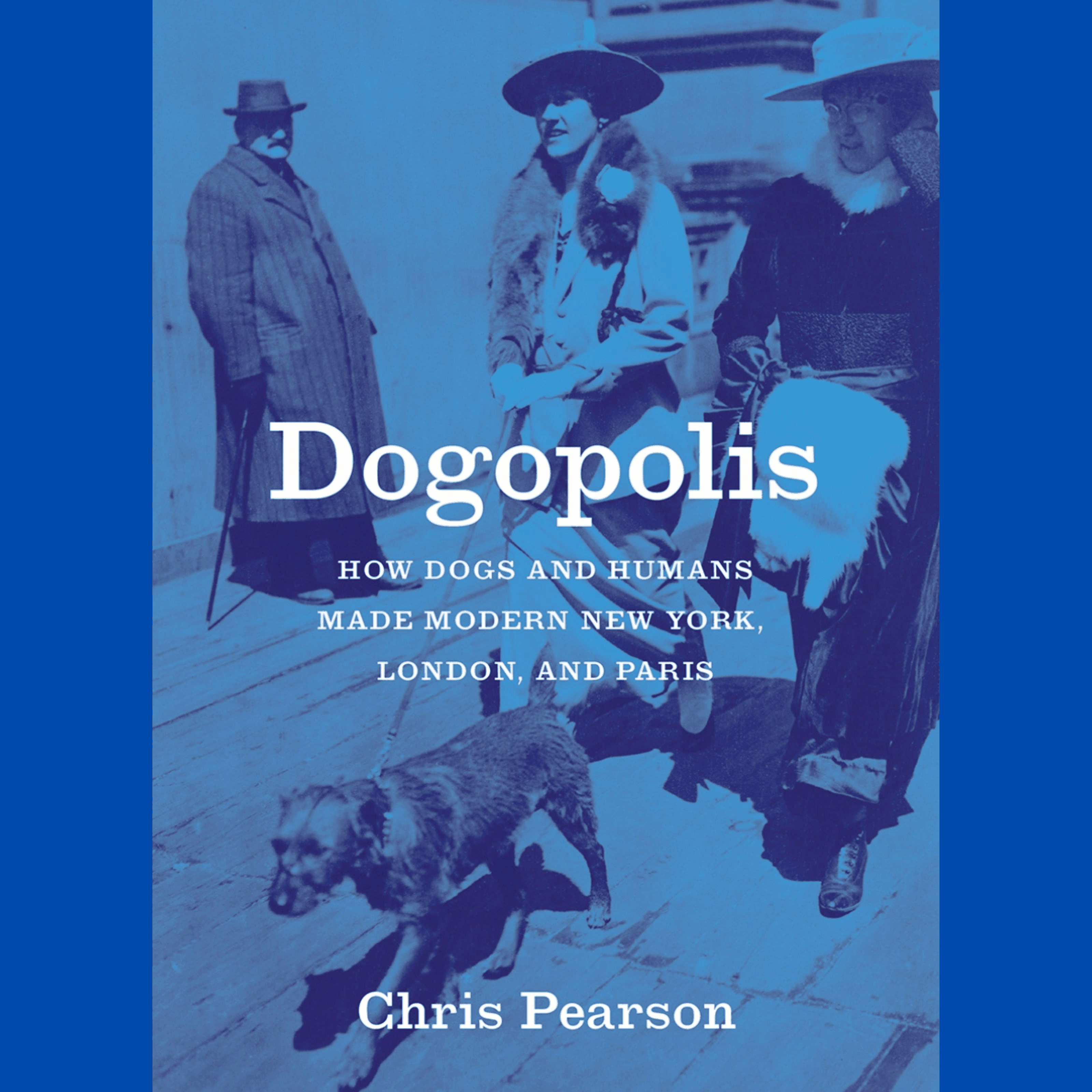 Dogopolis