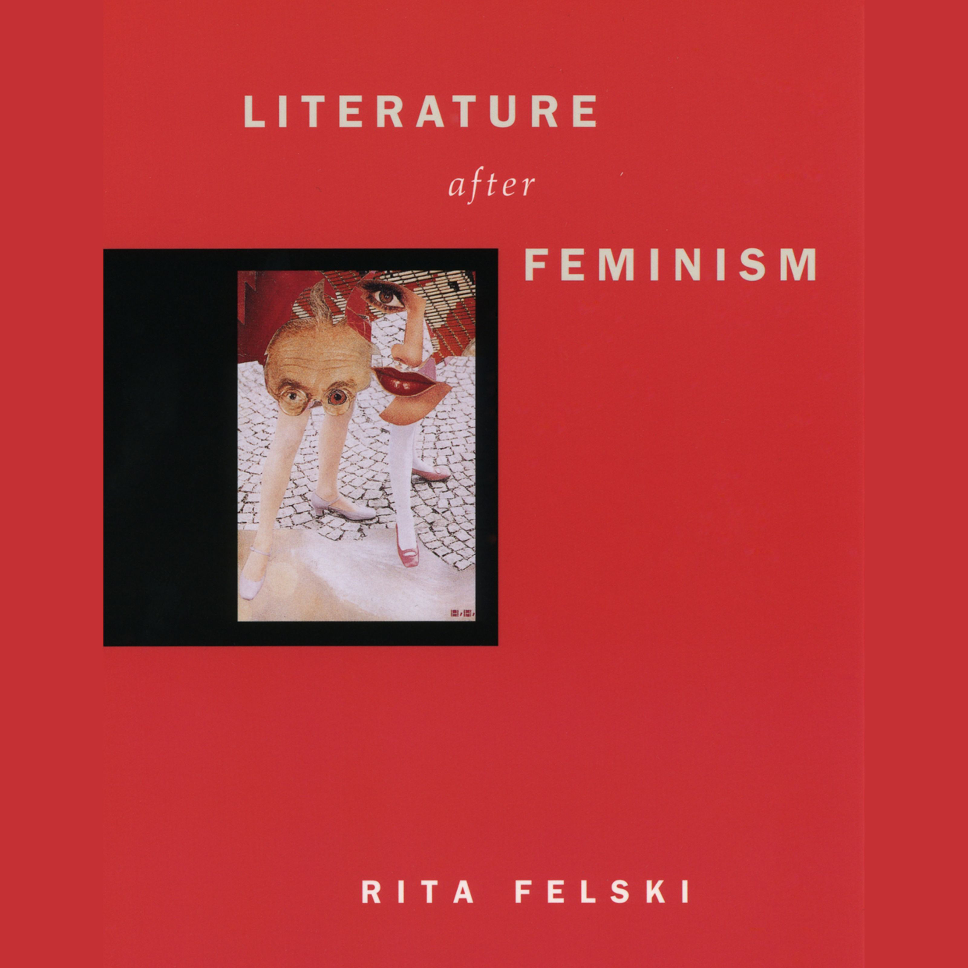 Literature after Feminism