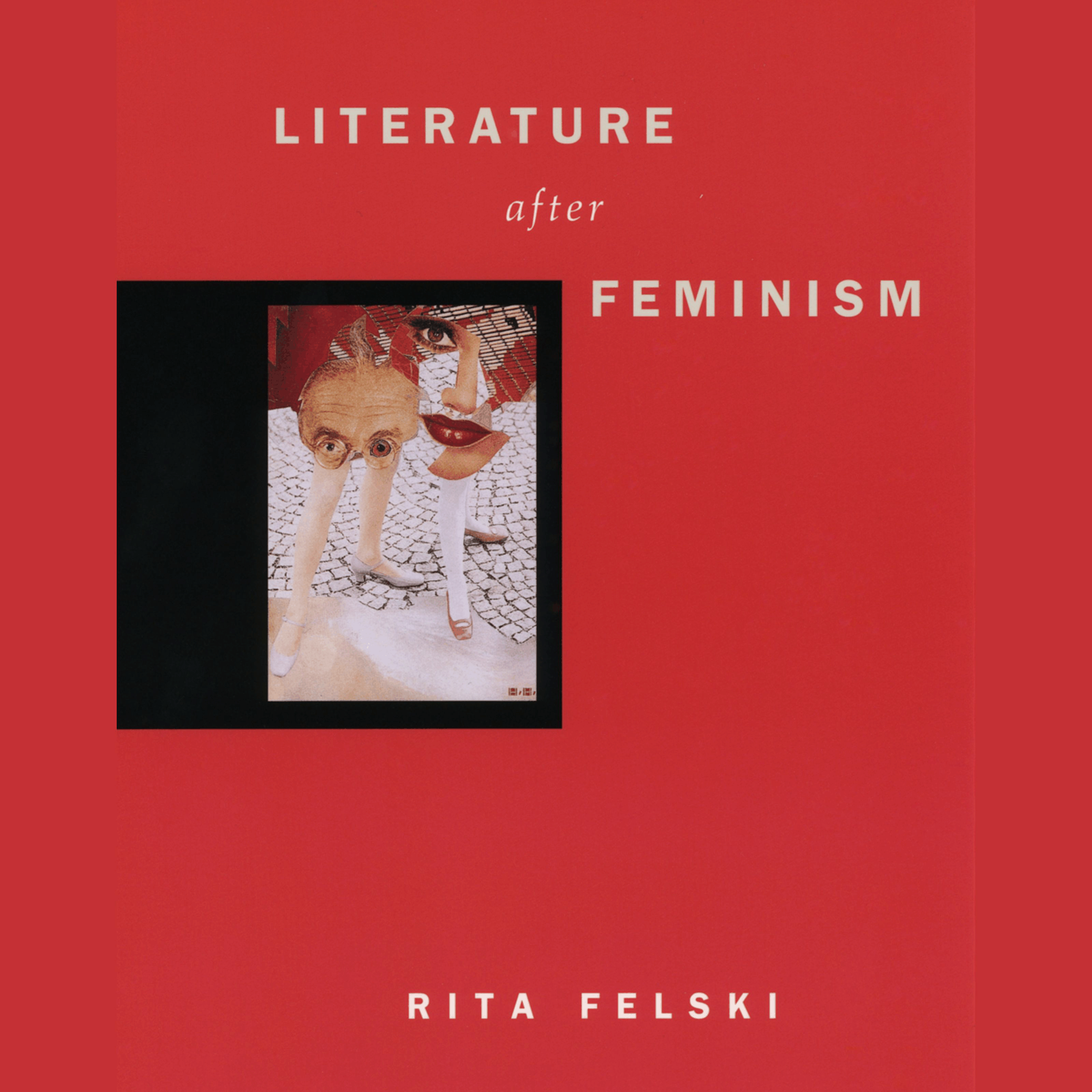 Literature after Feminism
