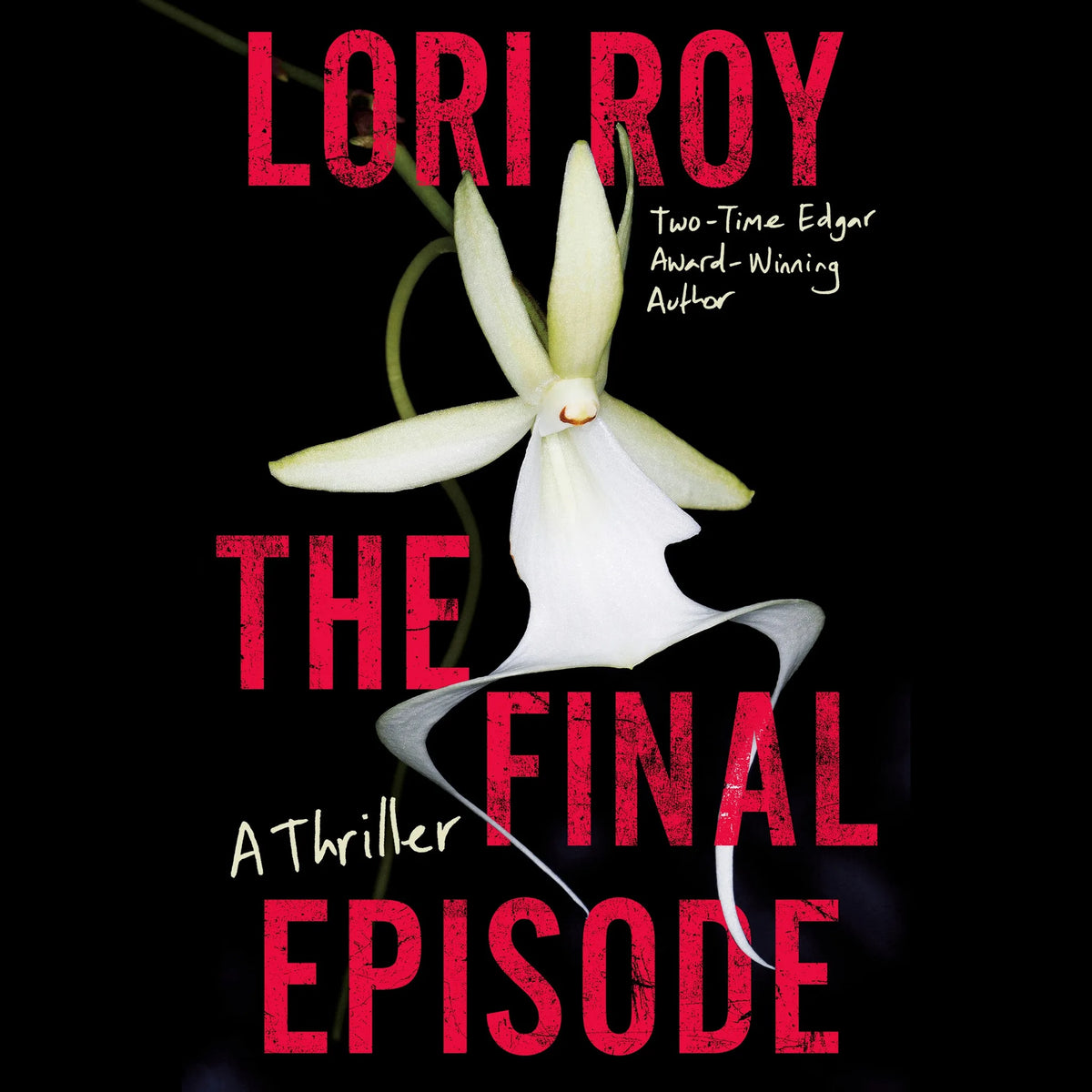 The Final Episode