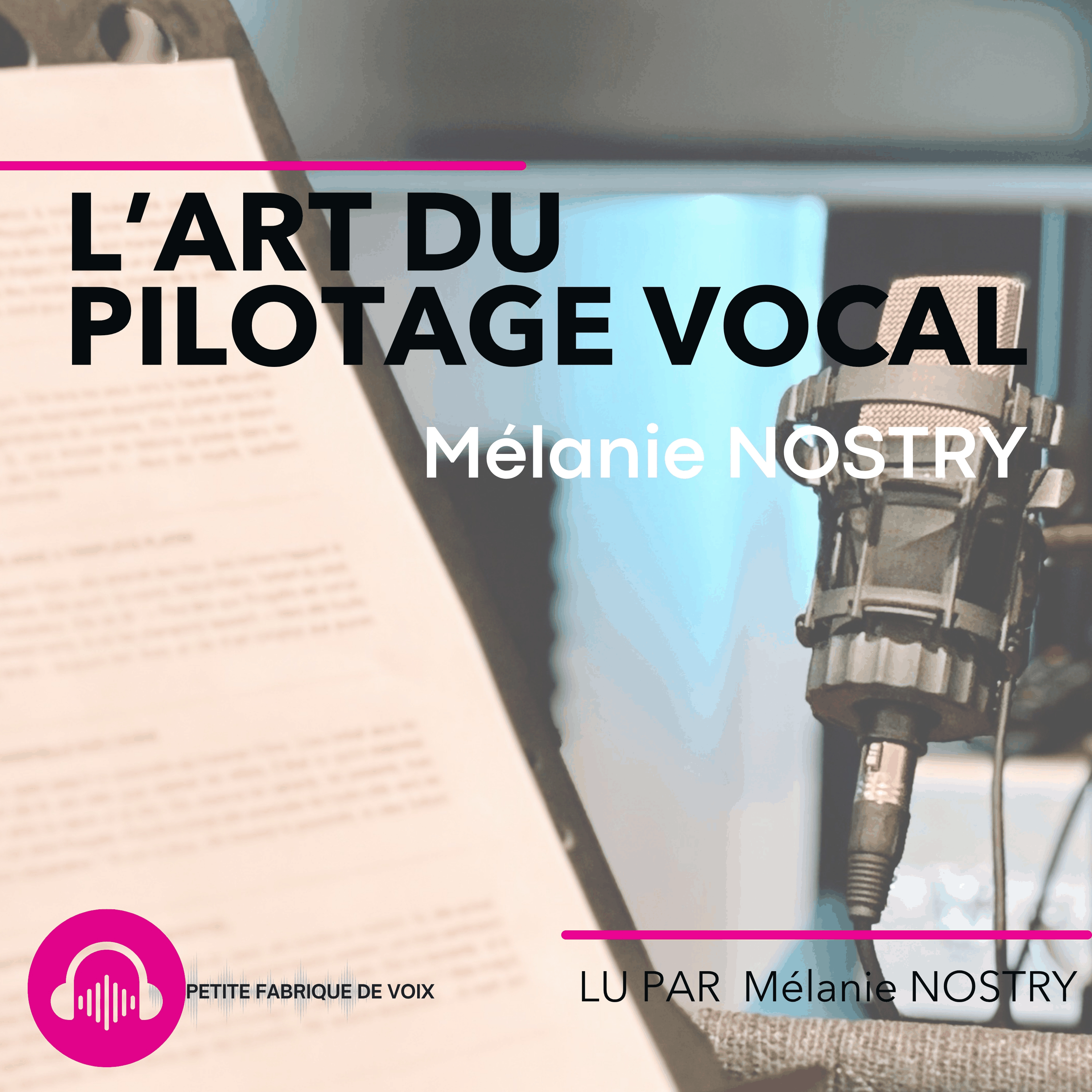 L'art du pilotage vocal