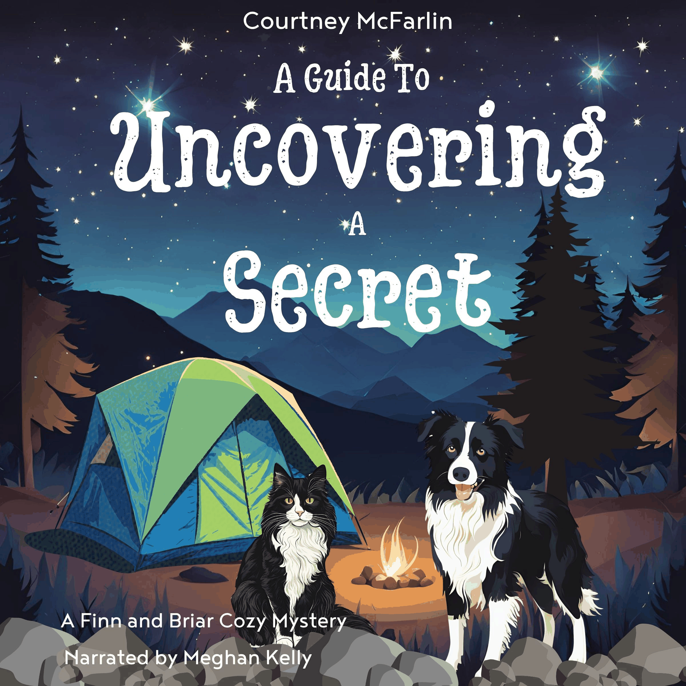 A Guide to Uncovering a Secret
