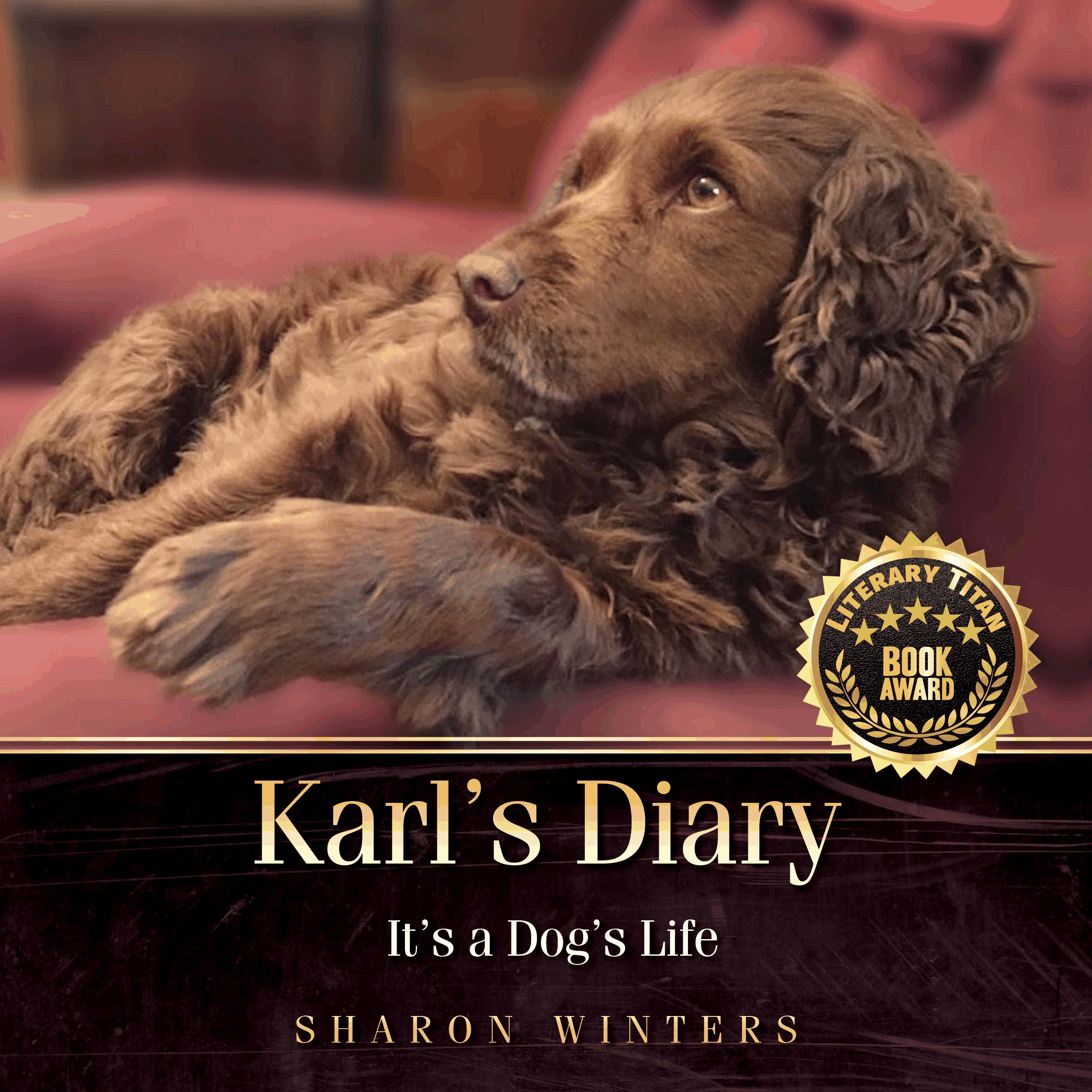 Karl's Diary