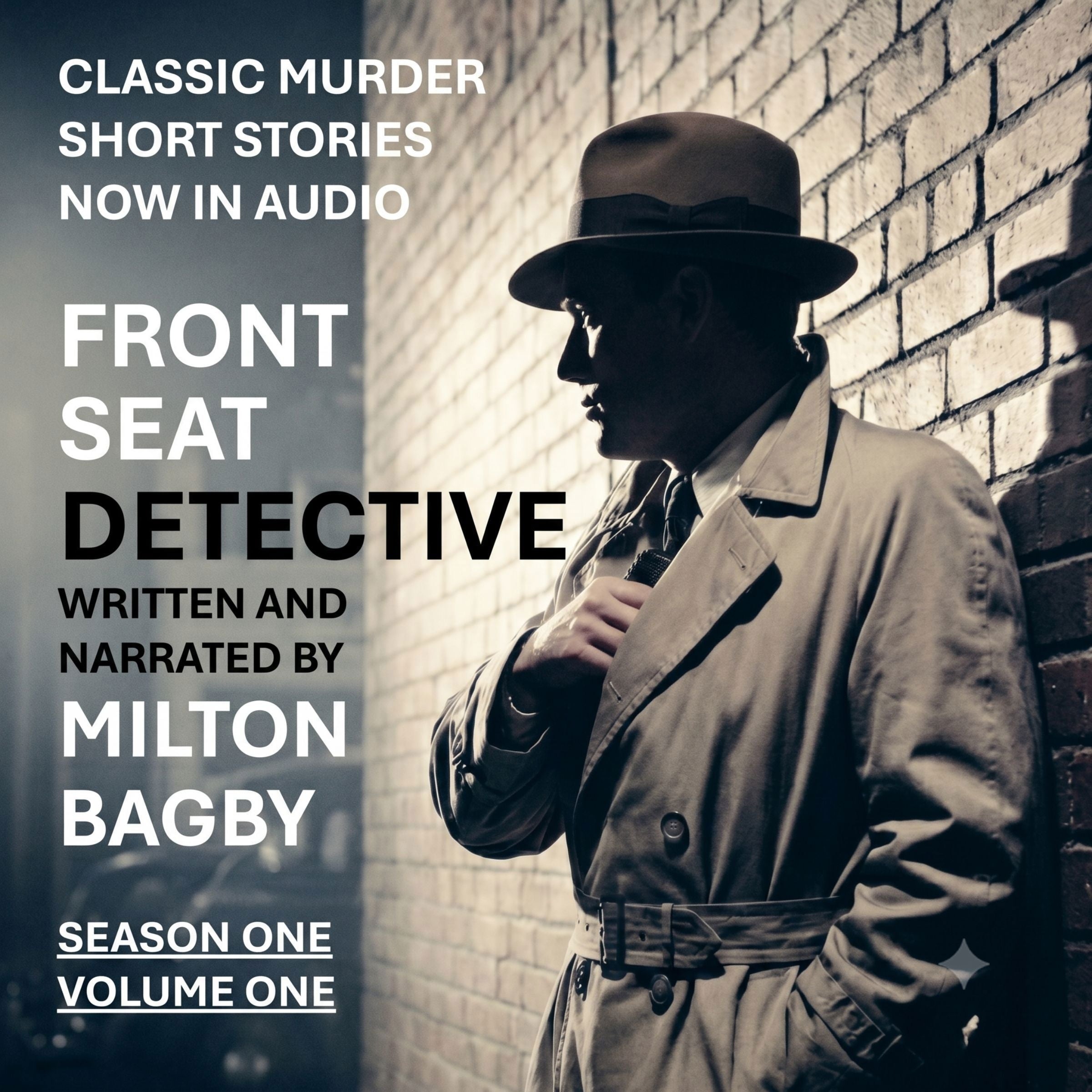Front Seat Detective