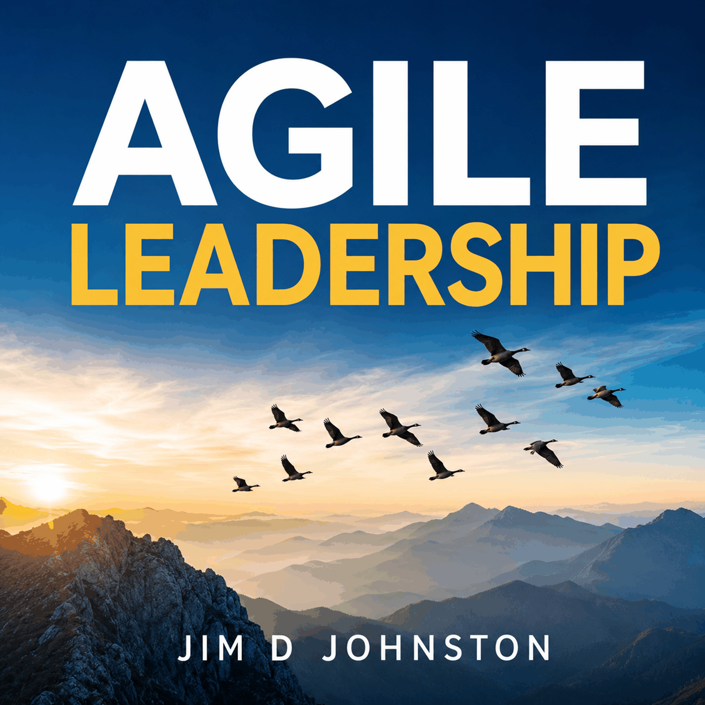 Agile Leadership