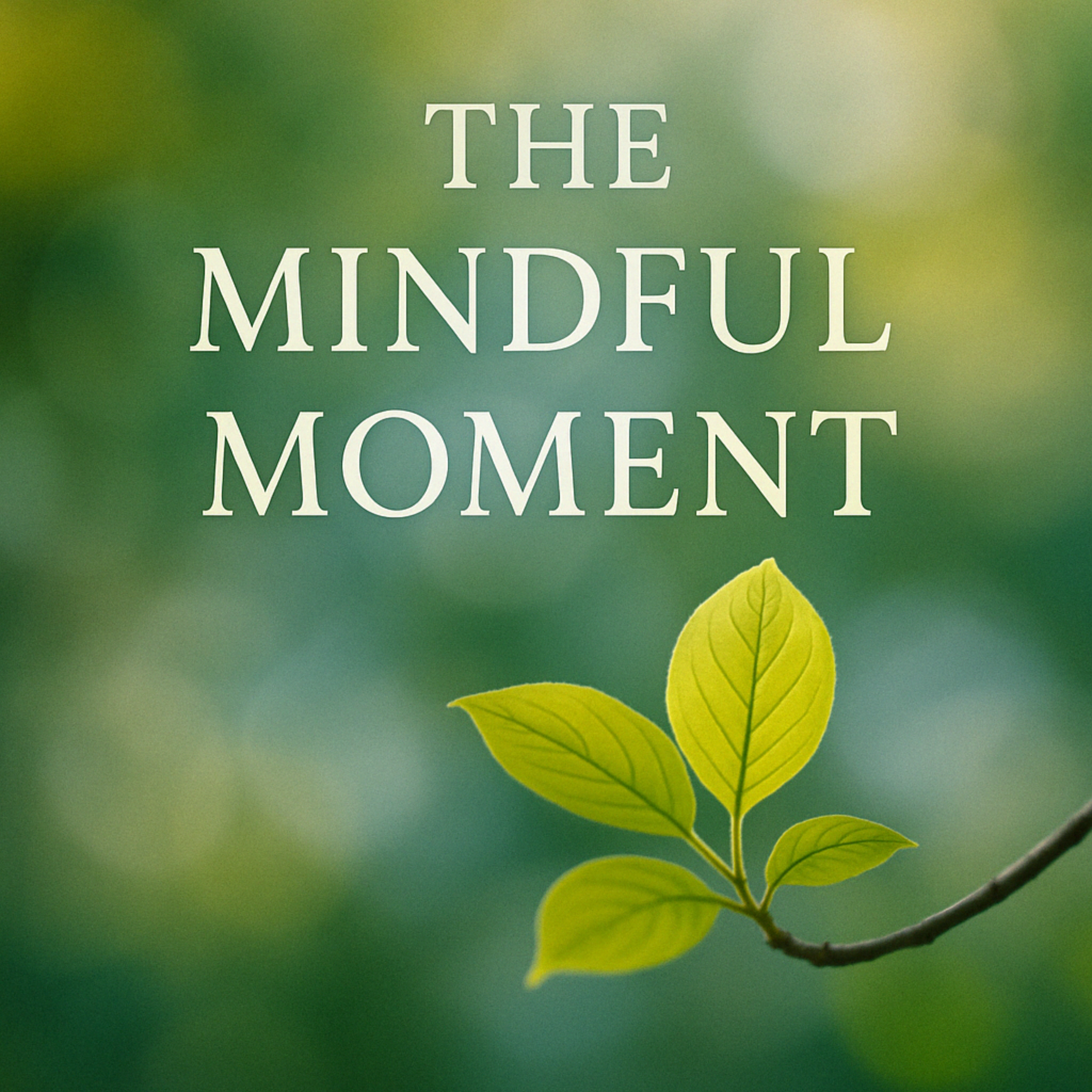 The Mindful Moment: Book summary & analysis
