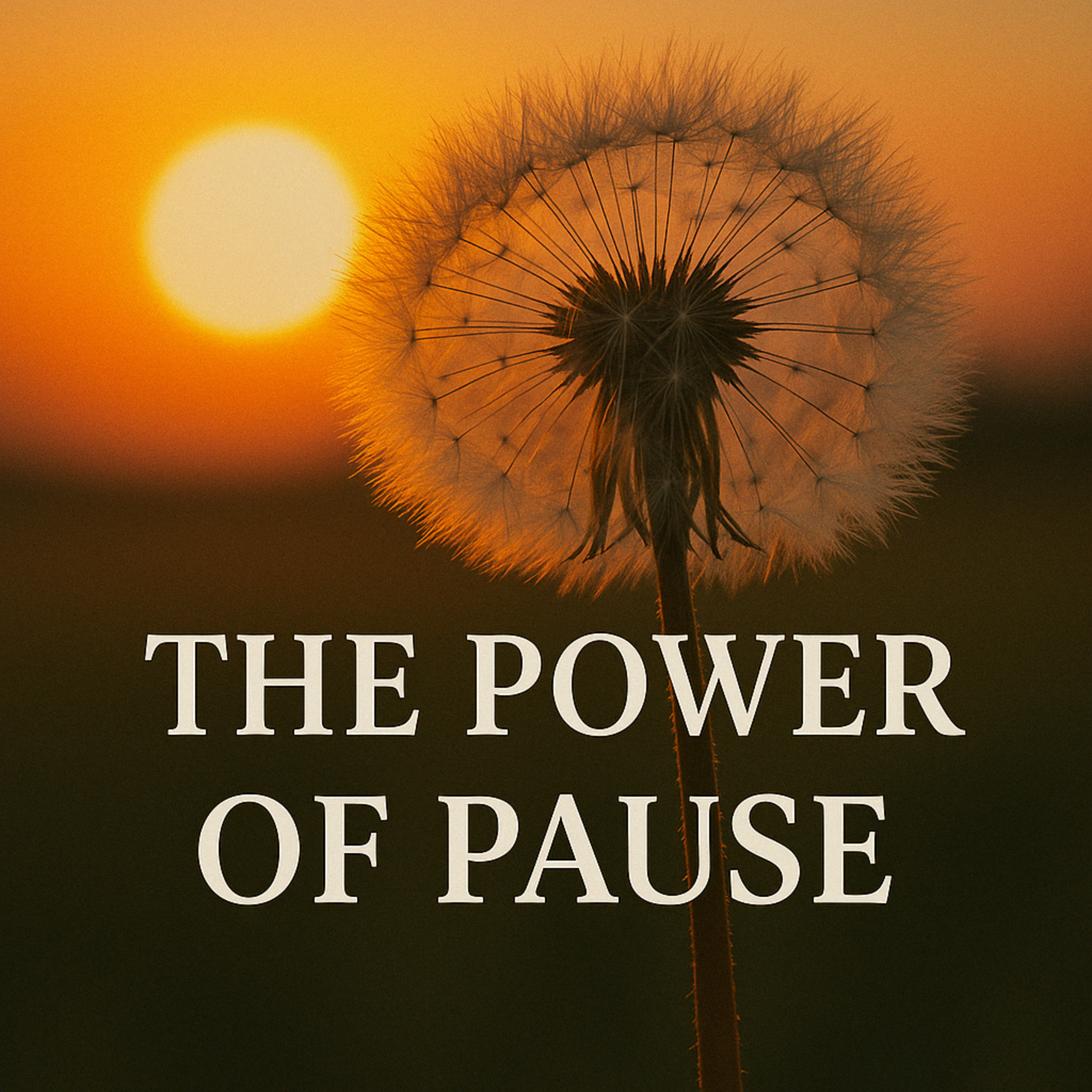 The Power of Pause: Book summary & analysis