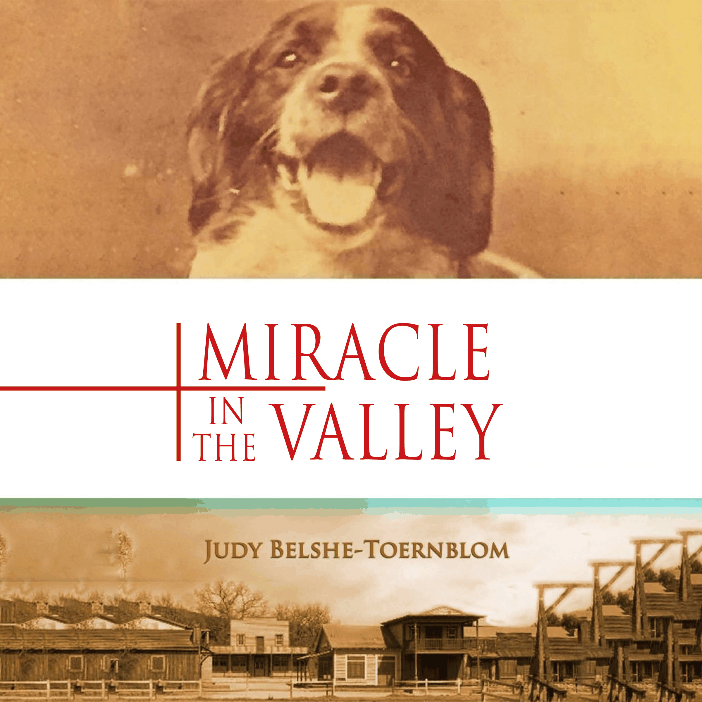 MIRACLE IN THE VALLEY