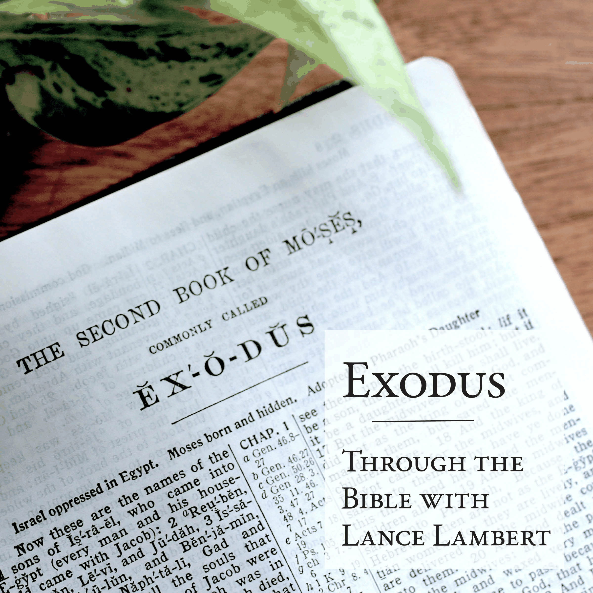 Exodus