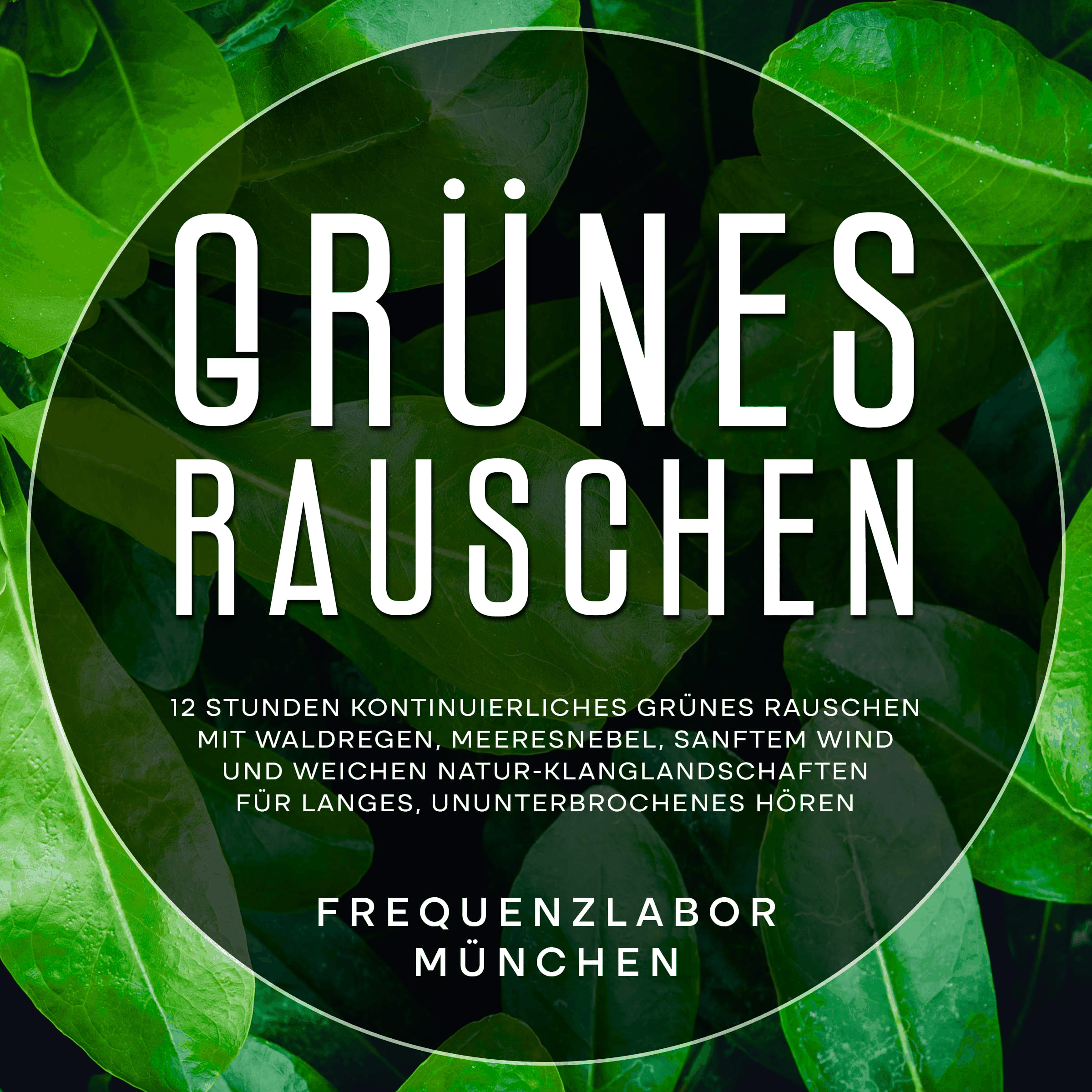 Grünes Rauschen: 12 Stunden kontinuierliches grünes Rauschen mit Waldregen, Meeresnebel, sanftem Wind und weichen Natur-Klanglandschaften für langes, ununterbrochenes Hören