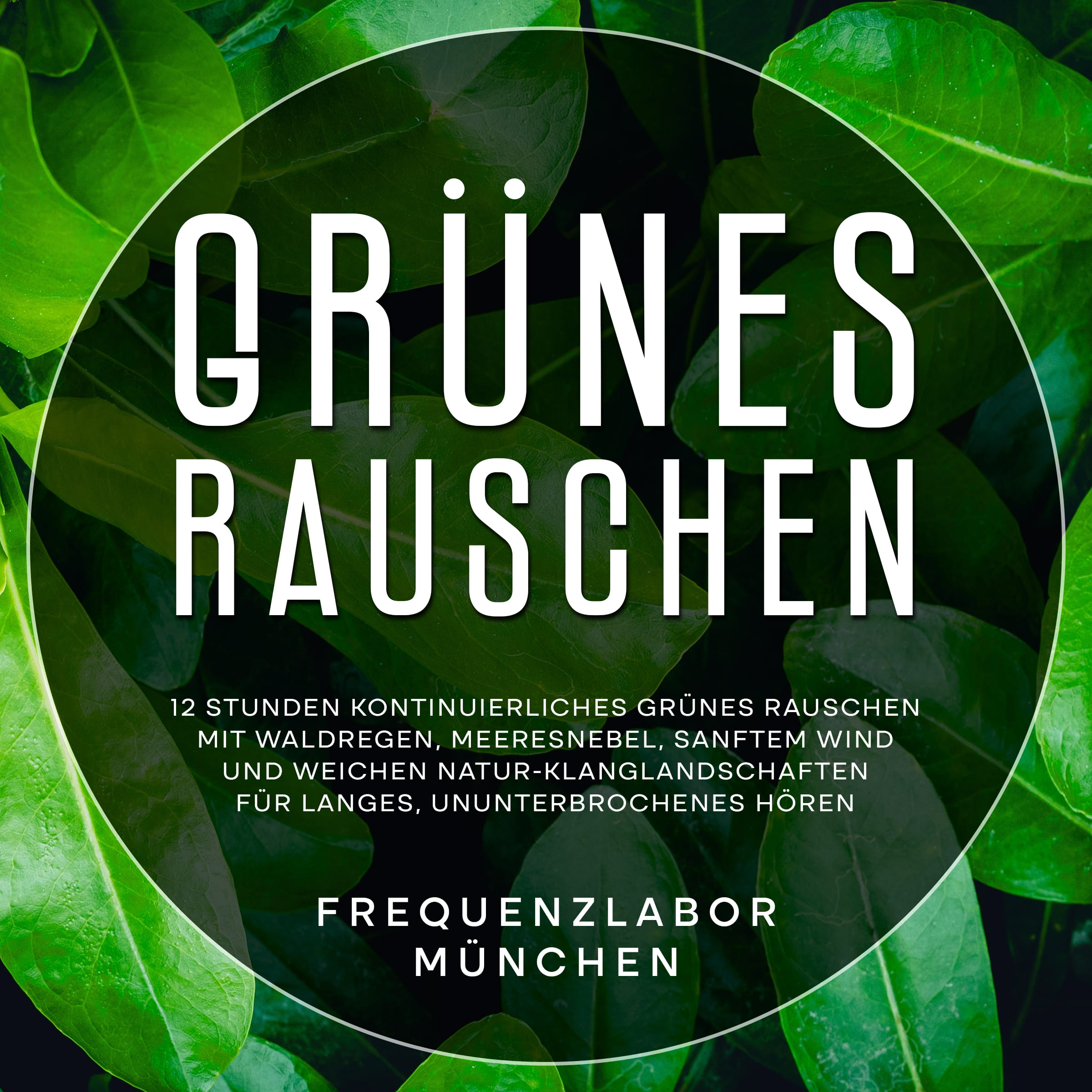 Grünes Rauschen: 12 Stunden kontinuierliches grünes Rauschen mit Waldregen, Meeresnebel, sanftem Wind und weichen Natur-Klanglandschaften für langes, ununterbrochenes Hören